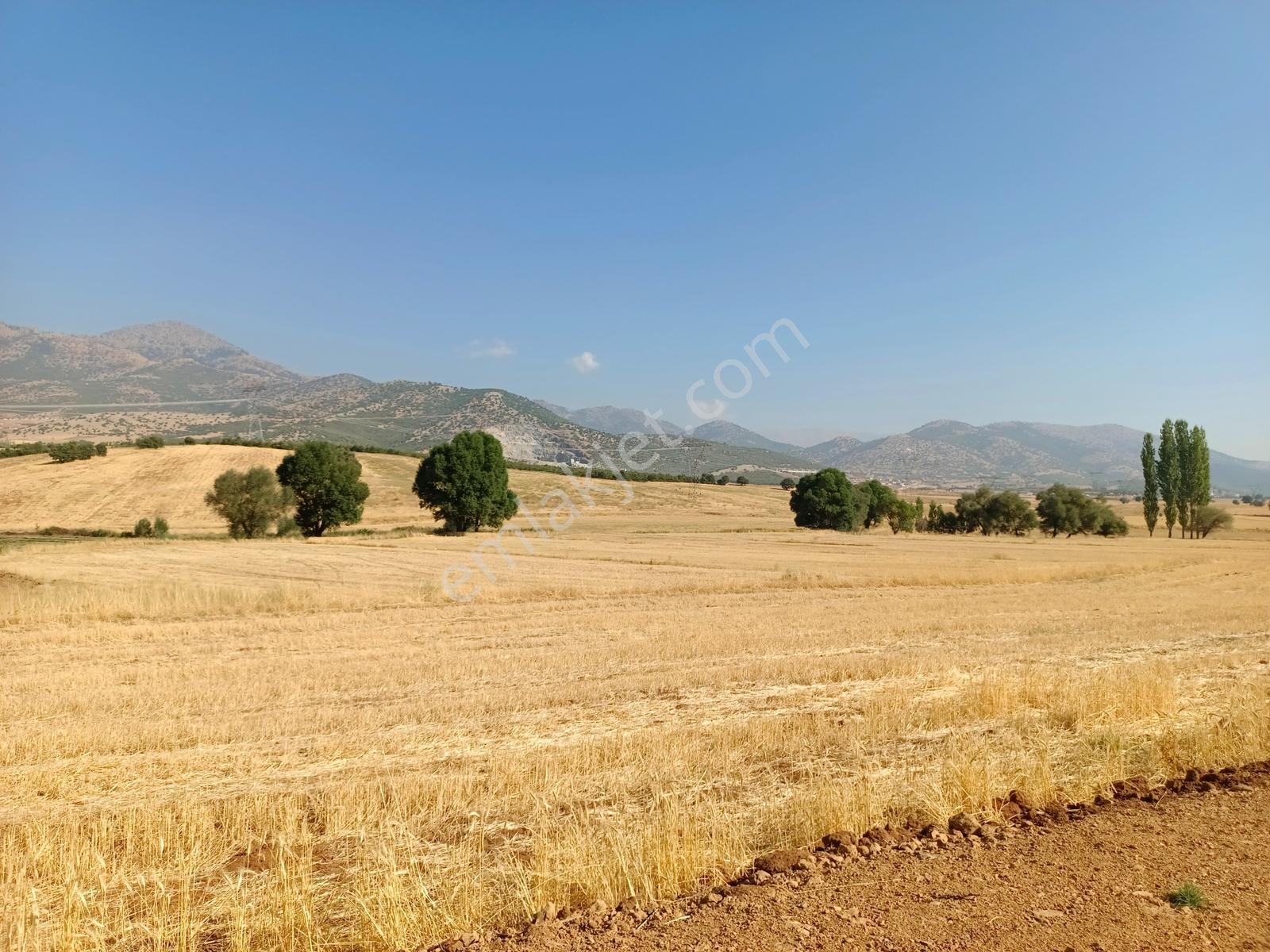 Yeni Rotadan Göksun Kanlıkavak'ta 7114 M2 Satılık Kurulu Çiftlik — fotoğraf 16