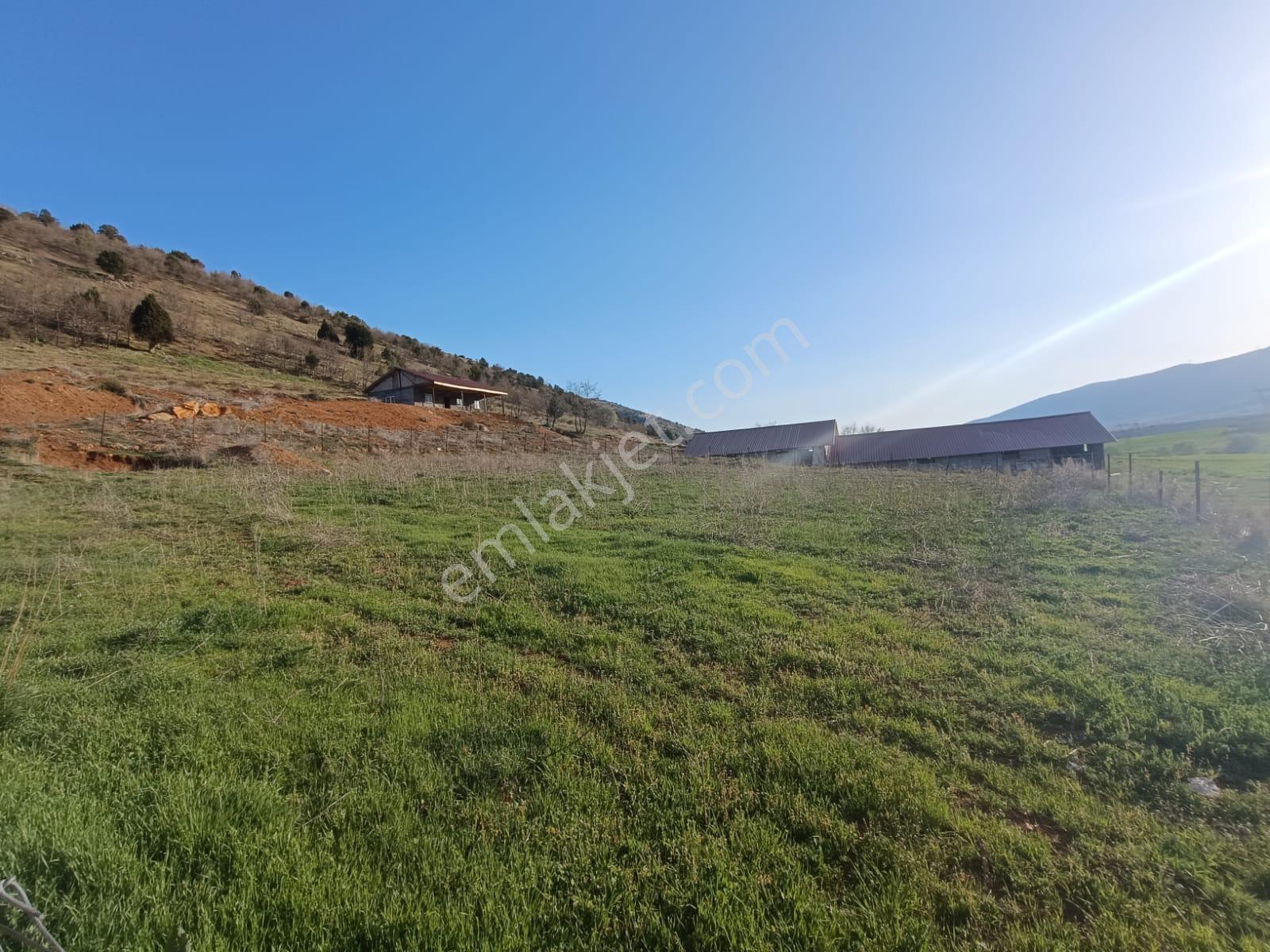 Yeni Rotadan Göksun Kanlıkavak'ta 7114 M2 Satılık Kurulu Çiftlik — fotoğraf 17