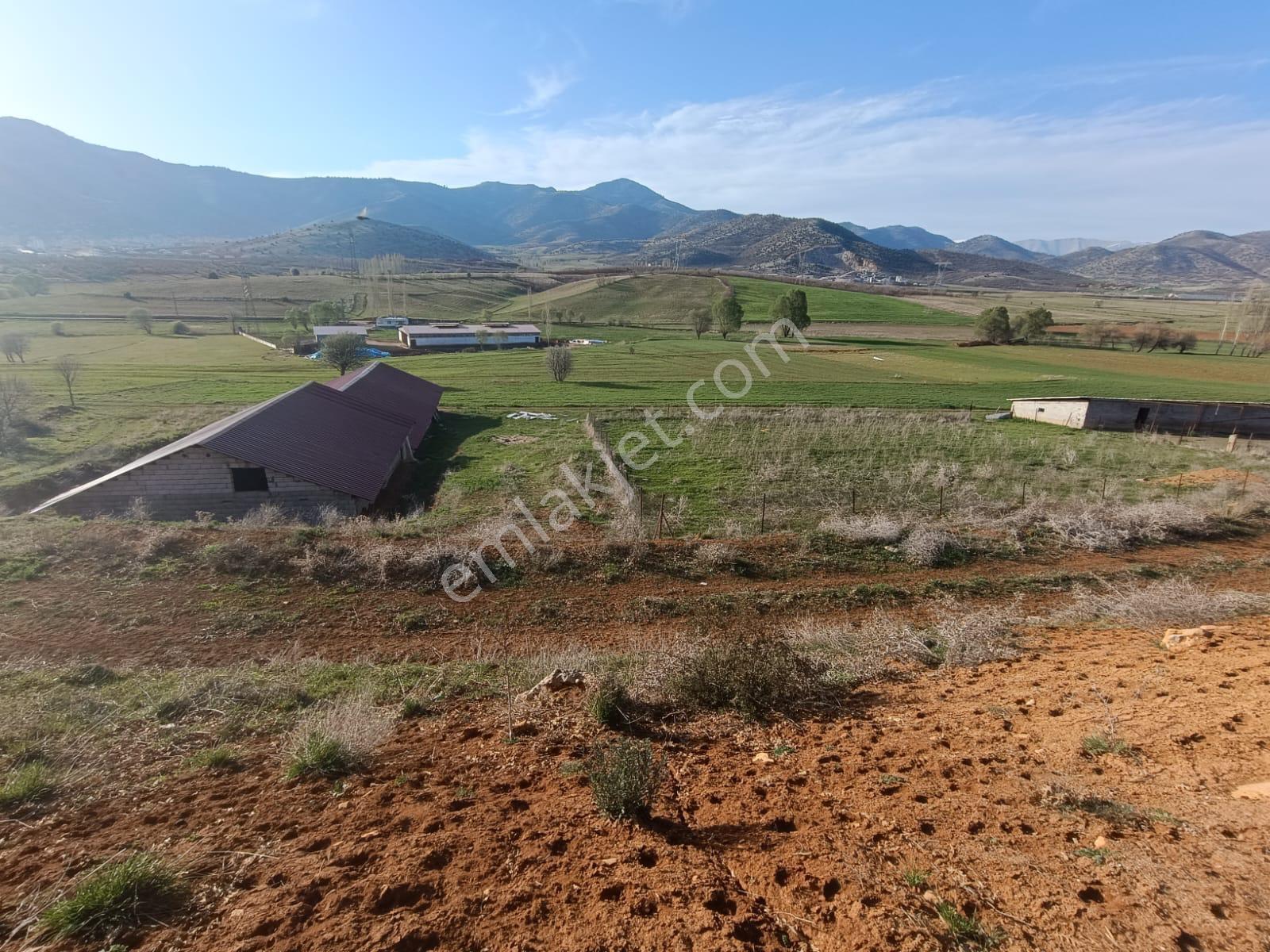 Yeni Rotadan Göksun Kanlıkavak'ta 7114 M2 Satılık Kurulu Çiftlik — fotoğraf 19