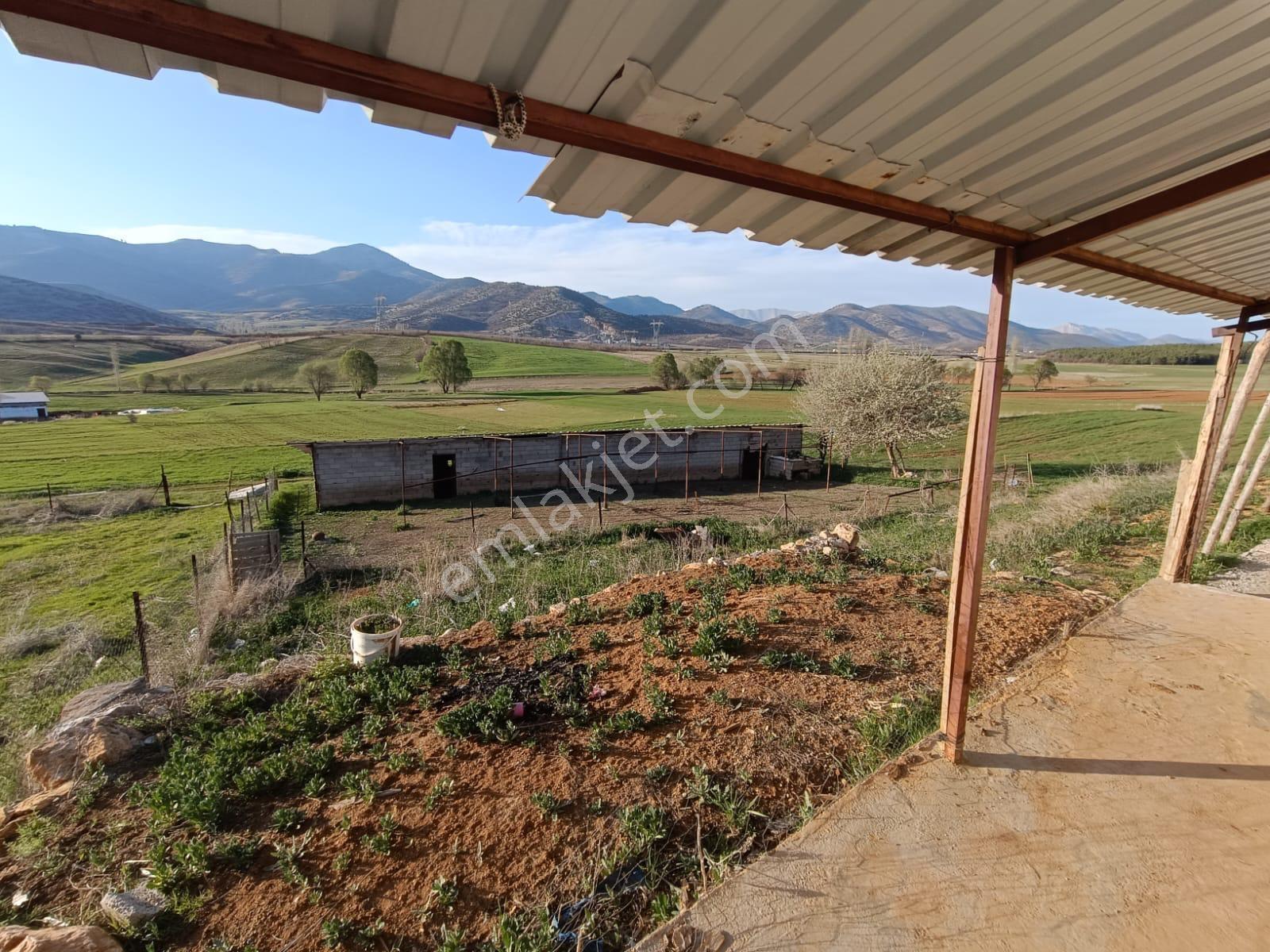 Yeni Rotadan Göksun Kanlıkavak'ta 7114 M2 Satılık Kurulu Çiftlik — fotoğraf 26