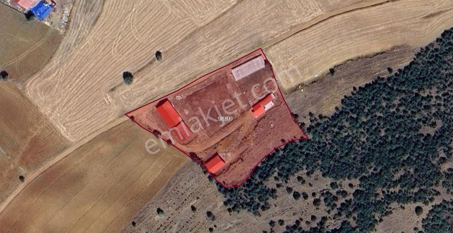 Yeni Rotadan Göksun Kanlıkavak'ta 7114 M2 Satılık Kurulu Çiftlik — fotoğraf 28