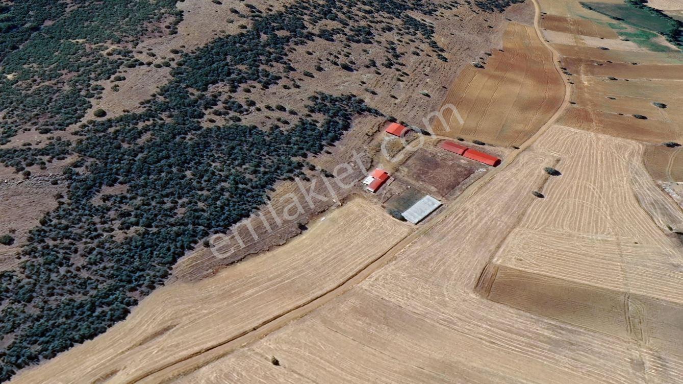 Yeni Rotadan Göksun Kanlıkavak'ta 7114 M2 Satılık Kurulu Çiftlik — fotoğraf 29