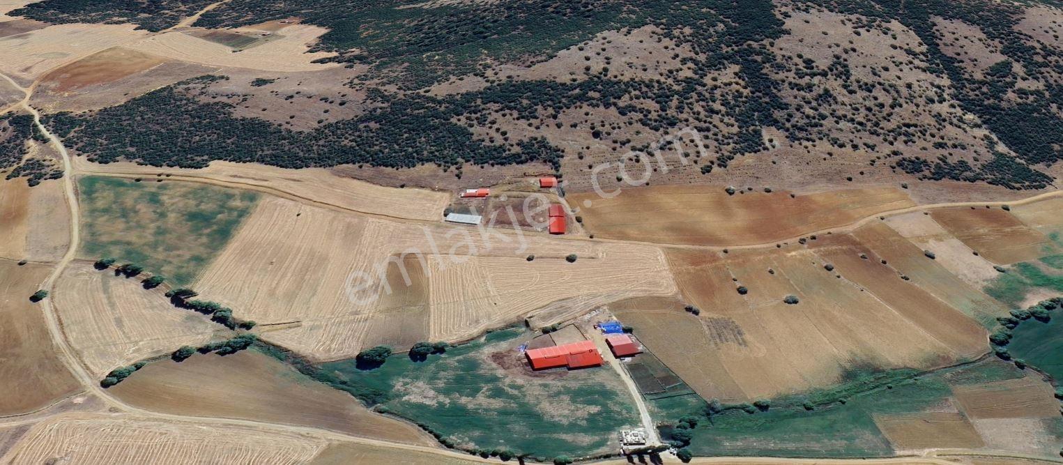 Yeni Rotadan Göksun Kanlıkavak'ta 7114 M2 Satılık Kurulu Çiftlik — fotoğraf 30