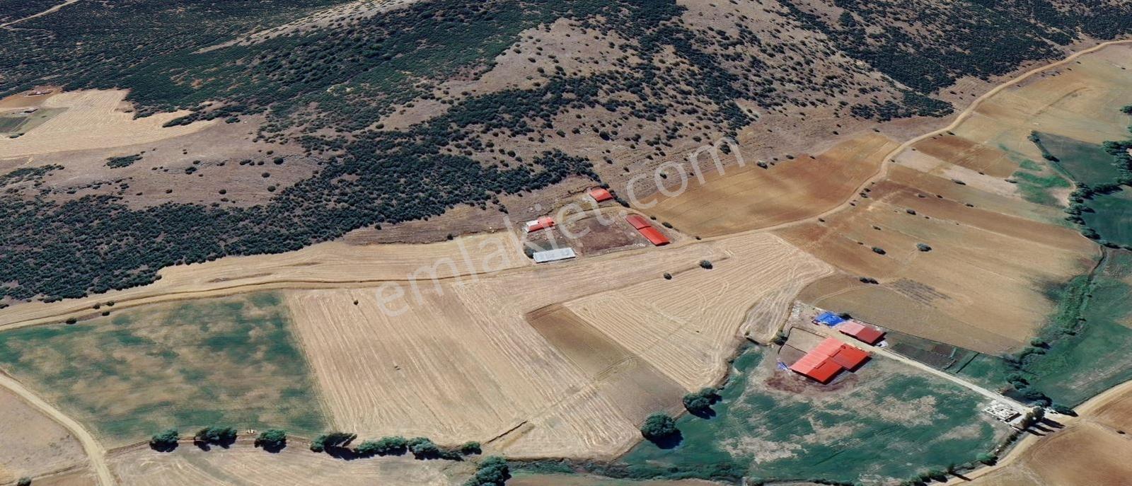Yeni Rotadan Göksun Kanlıkavak'ta 7114 M2 Satılık Kurulu Çiftlik — fotoğraf 33