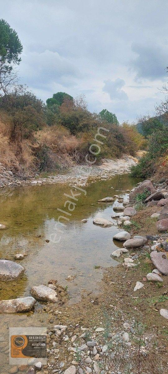 Dikili Kocaoba Köyünde Dsi Sulama Alanı Kenarında 6945 Metrekare Satılık Zeytinlik — fotoğraf 18