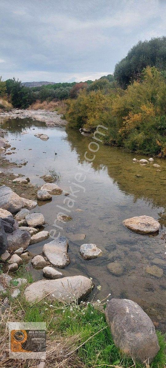 Dikili Kocaoba Köyünde Dsi Sulama Alanı Kenarında 6945 Metrekare Satılık Zeytinlik — fotoğraf 19