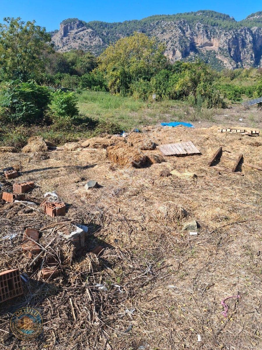 Villa İmarlı Arsa — fotoğraf 8