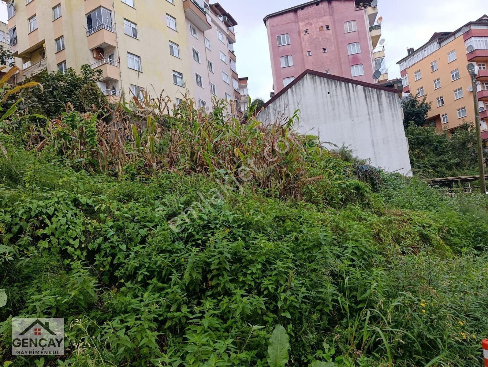Gençay Emlaktan Satılık Arsa — fotoğraf 3