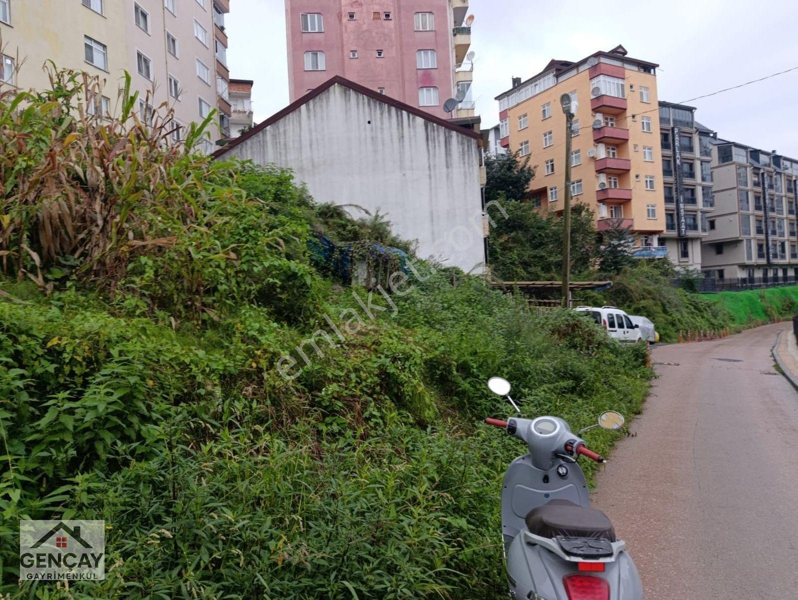 Gençay Emlaktan Satılık Arsa — fotoğraf 6
