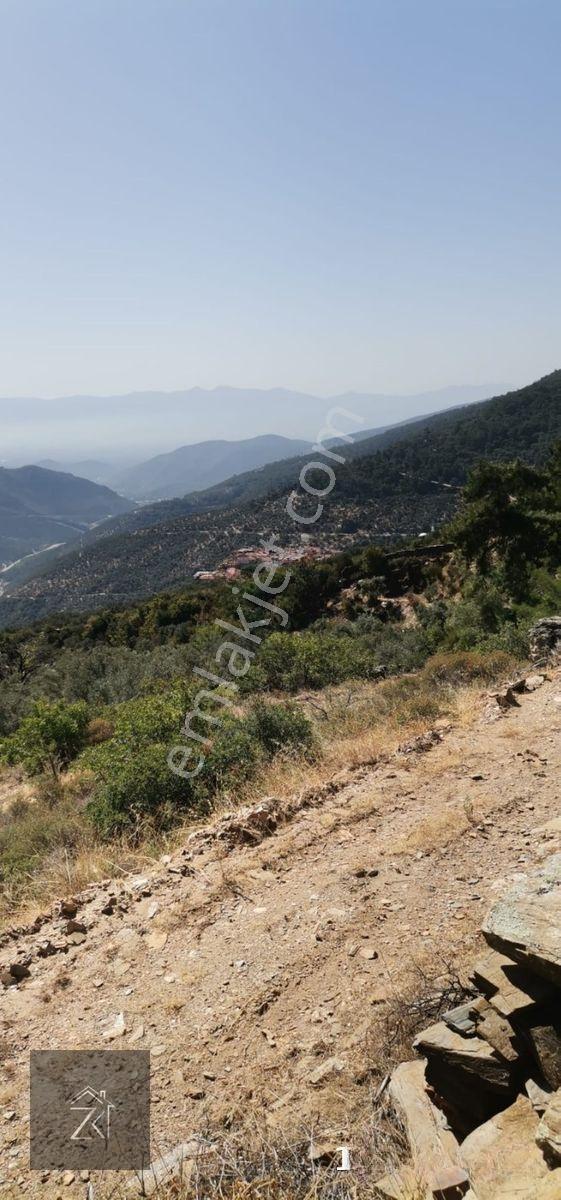 İzmir Bayındır Kızıloba'da 4076 M2 Manzaralı Yolu Açılmış Satılık Zeytinlik — fotoğraf 12