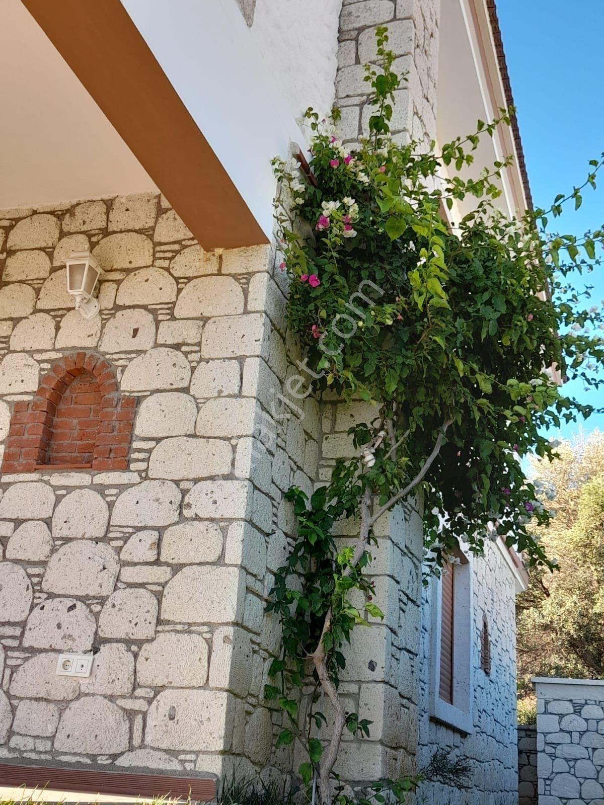 Çeşme Şifne'de Özel Havuzlu Deniz Manzaralı Villa — fotoğraf 12