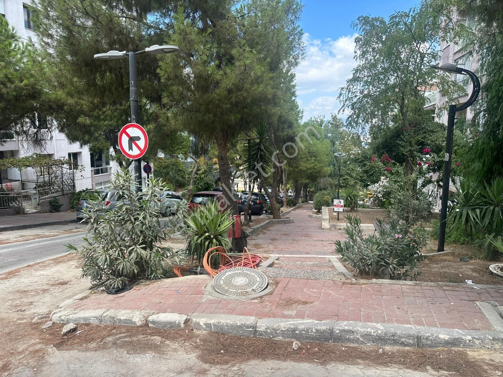 Basınsitesinde Caddeye Hastaneye Okula Yakın Bakımlı Bahçe Katı — fotoğraf 8