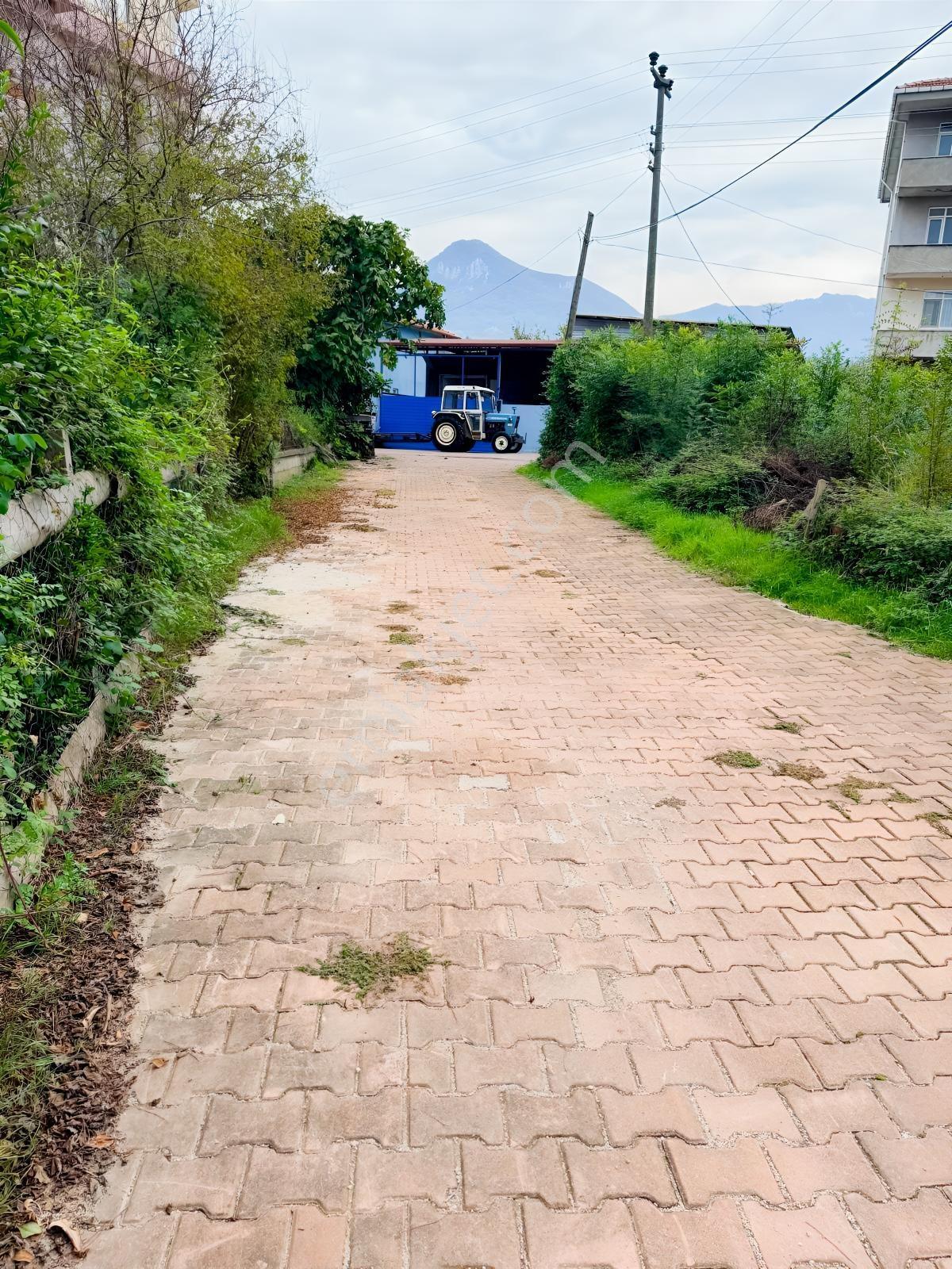 Cide Demirtaş Emlaktan Satılık 2 Katlı 3+1 Müstakil Ev — fotoğraf 33