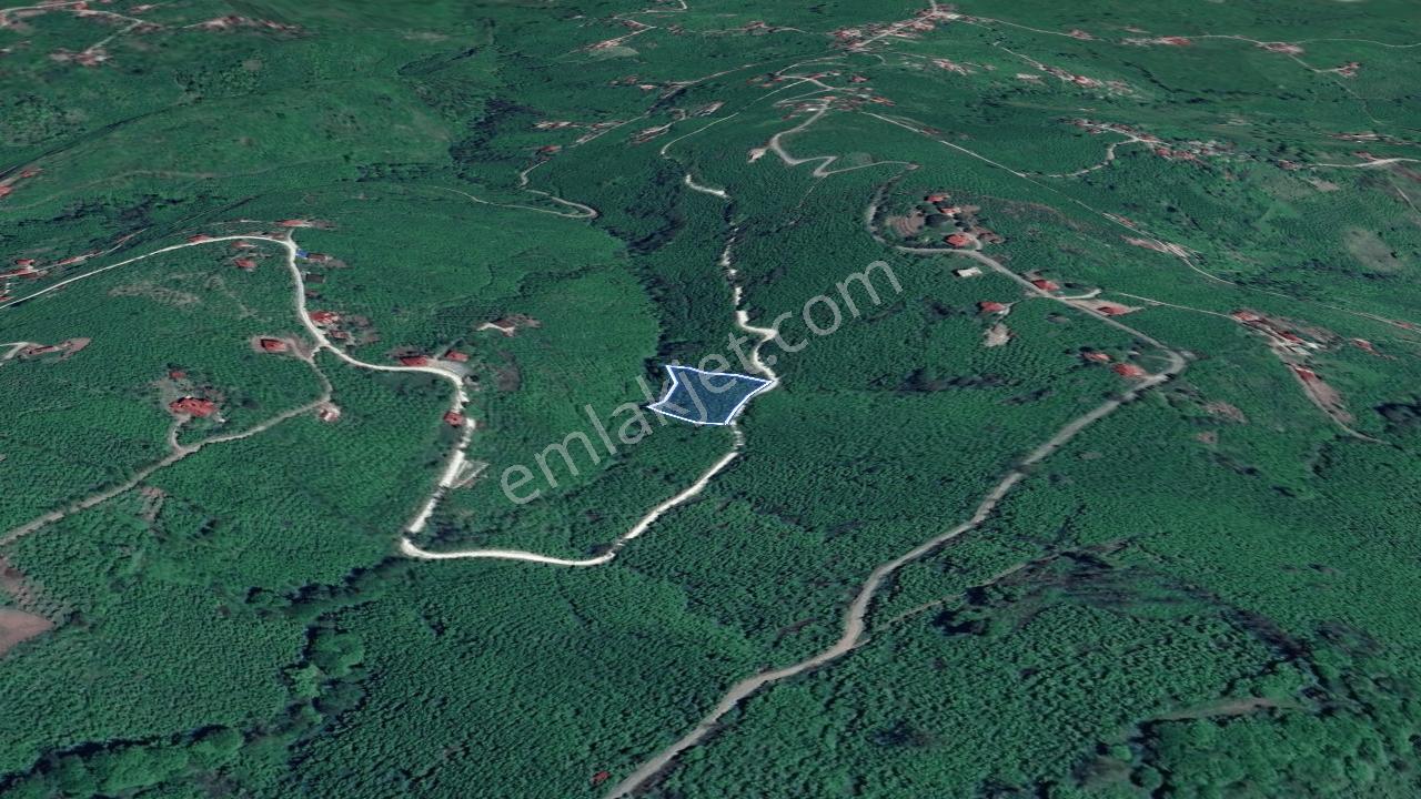 Perşembe Neneli'de Kadastral Yolu Olan, Tek Tapulu Arazi — fotoğraf 2