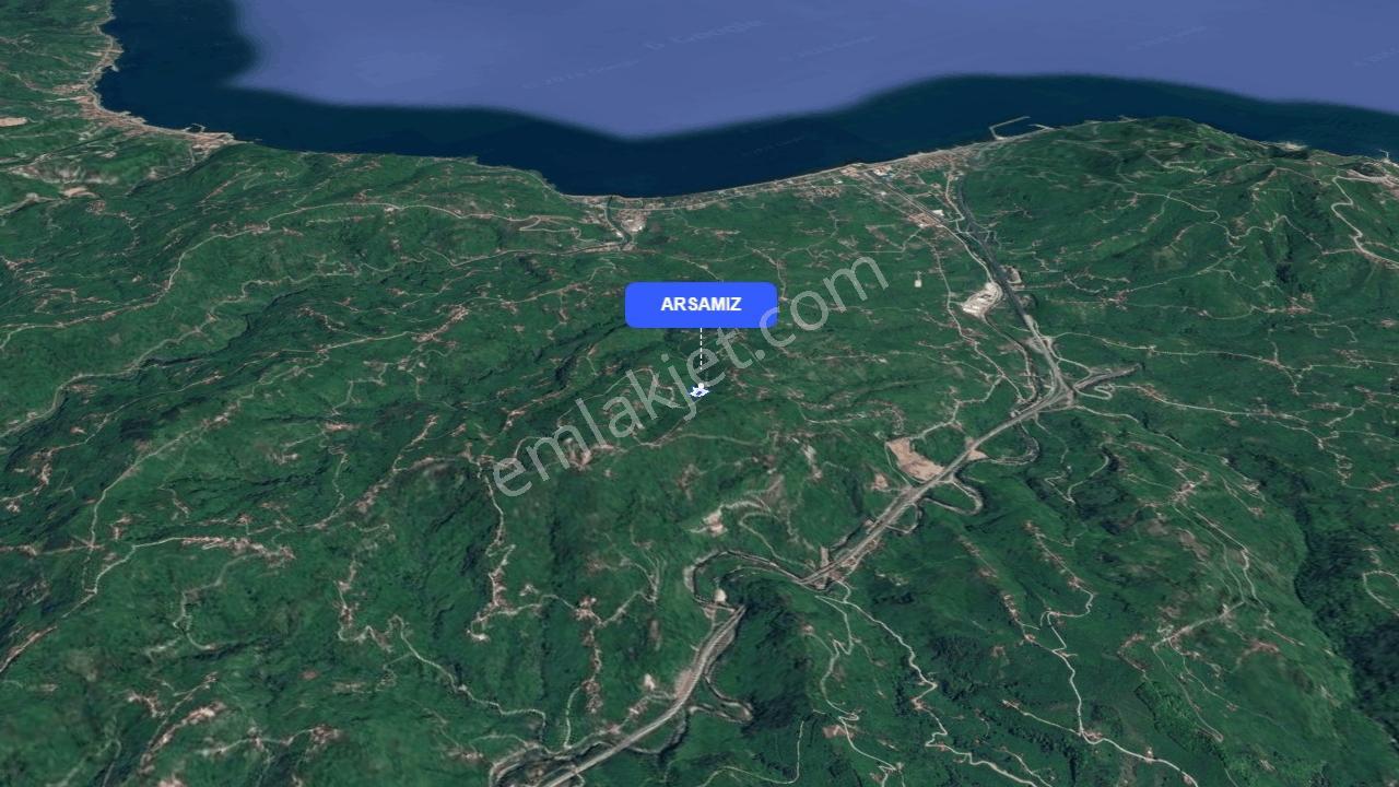 Perşembe Neneli'de Kadastral Yolu Olan, Tek Tapulu Arazi — fotoğraf 3