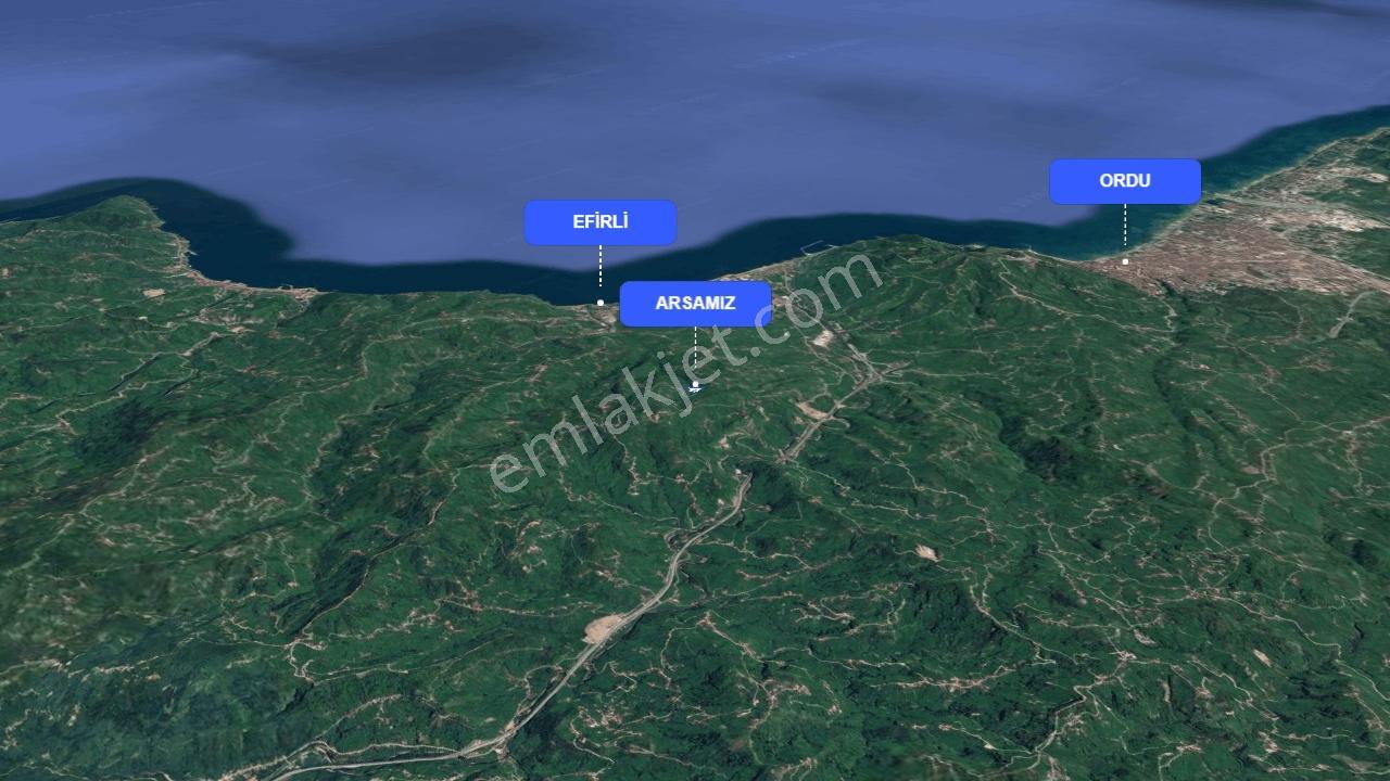 Perşembe Neneli'de Kadastral Yolu Olan, Tek Tapulu Arazi — fotoğraf 4