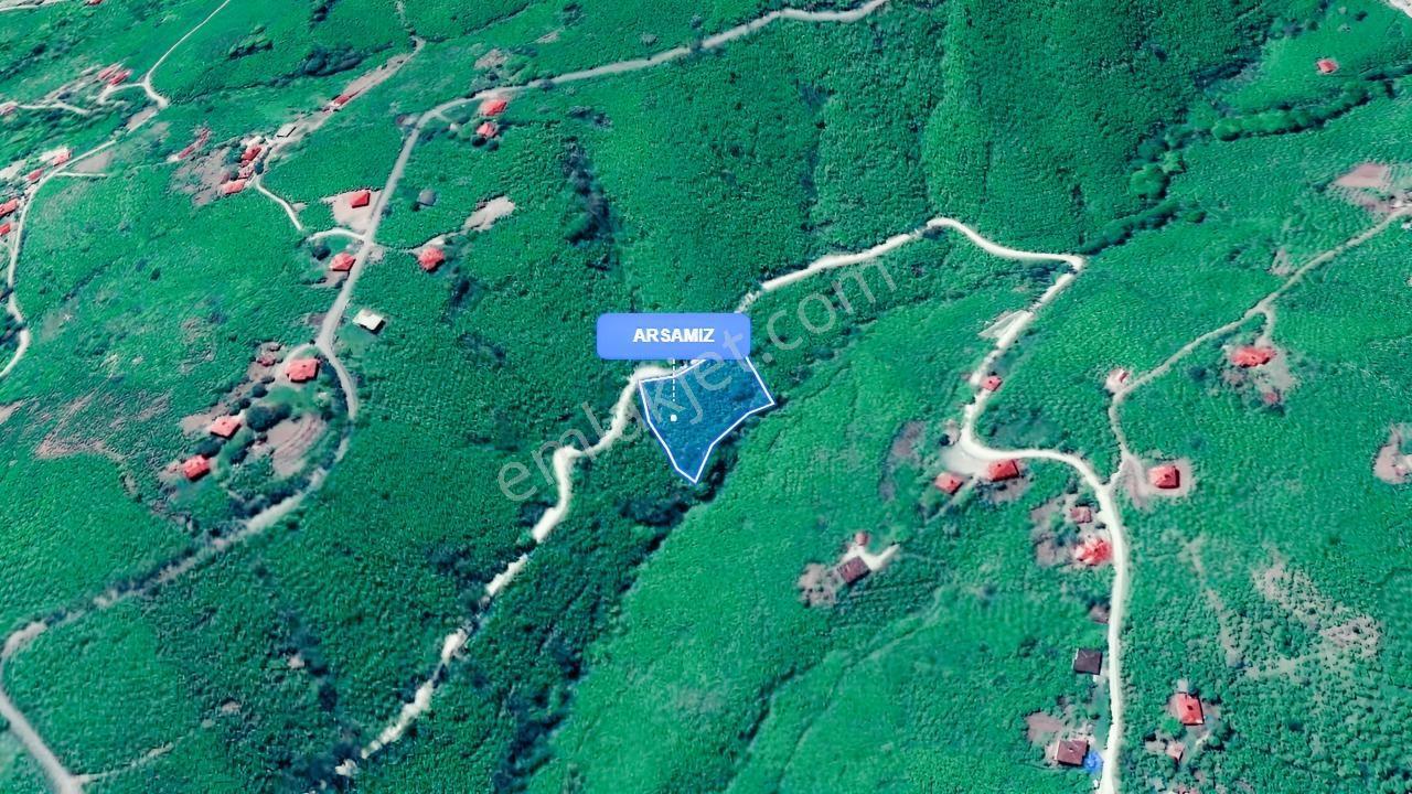 Perşembe Neneli'de Kadastral Yolu Olan, Tek Tapulu Arazi — fotoğraf 6