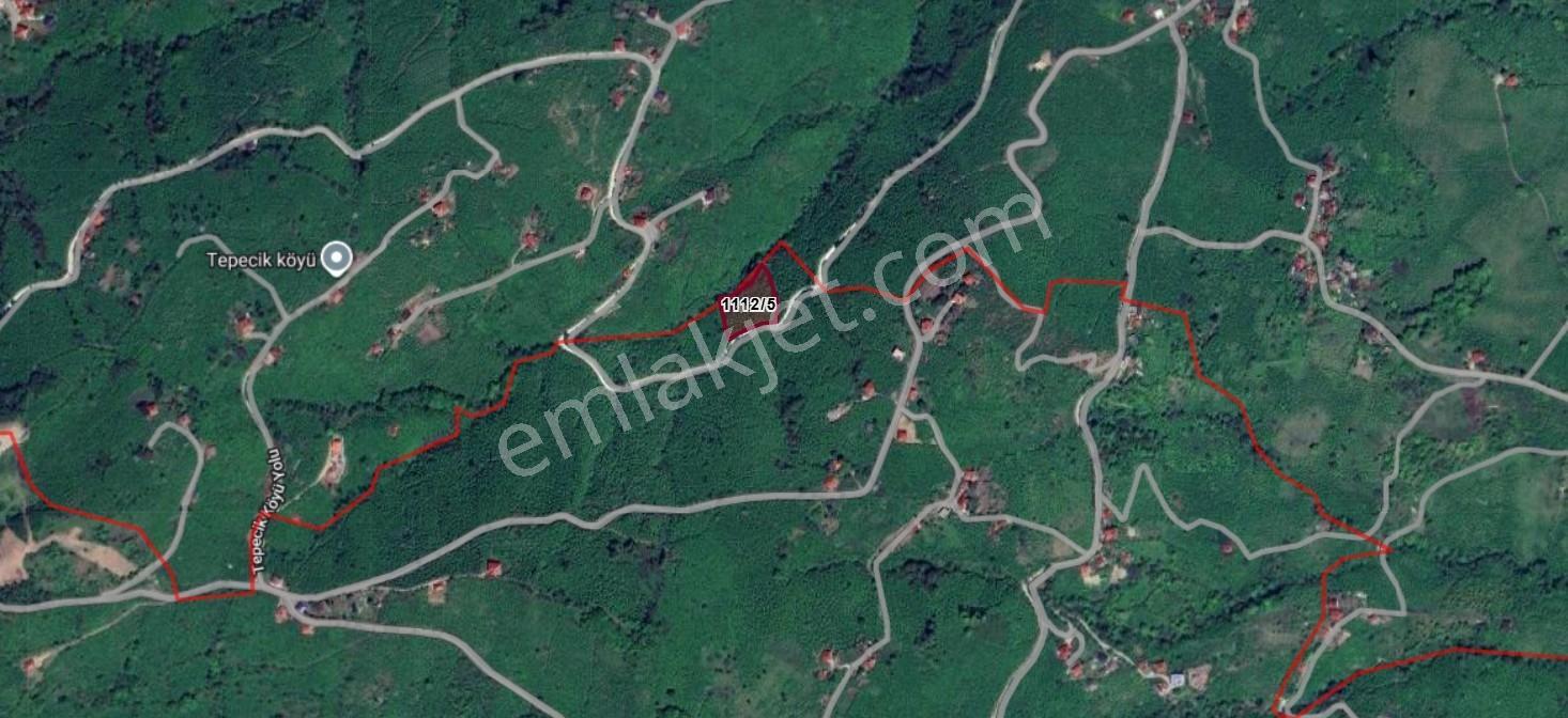 Perşembe Neneli'de Kadastral Yolu Olan, Tek Tapulu Arazi — fotoğraf 8