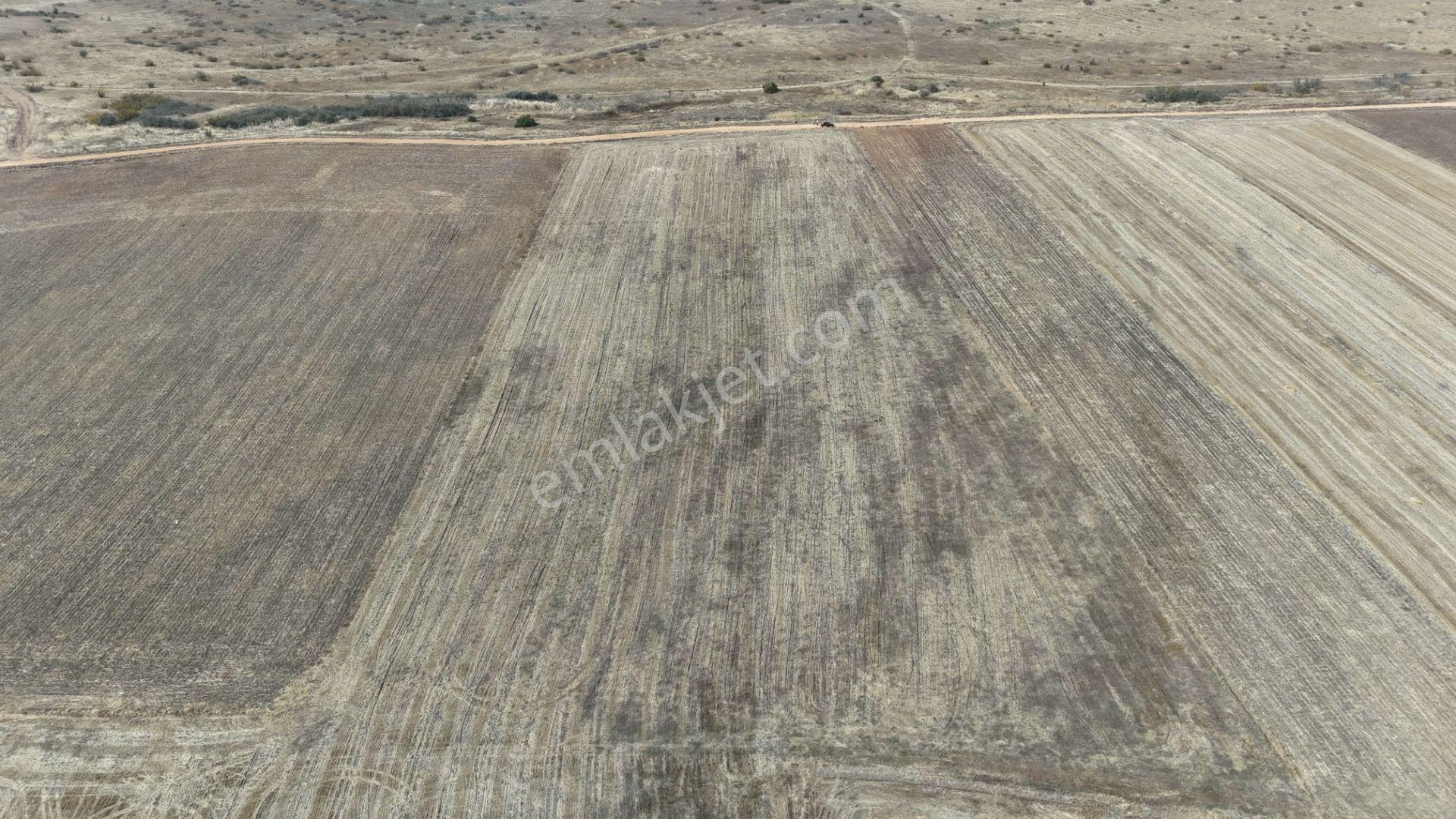 Edirne Havsa Yolageldi — fotoğraf 17