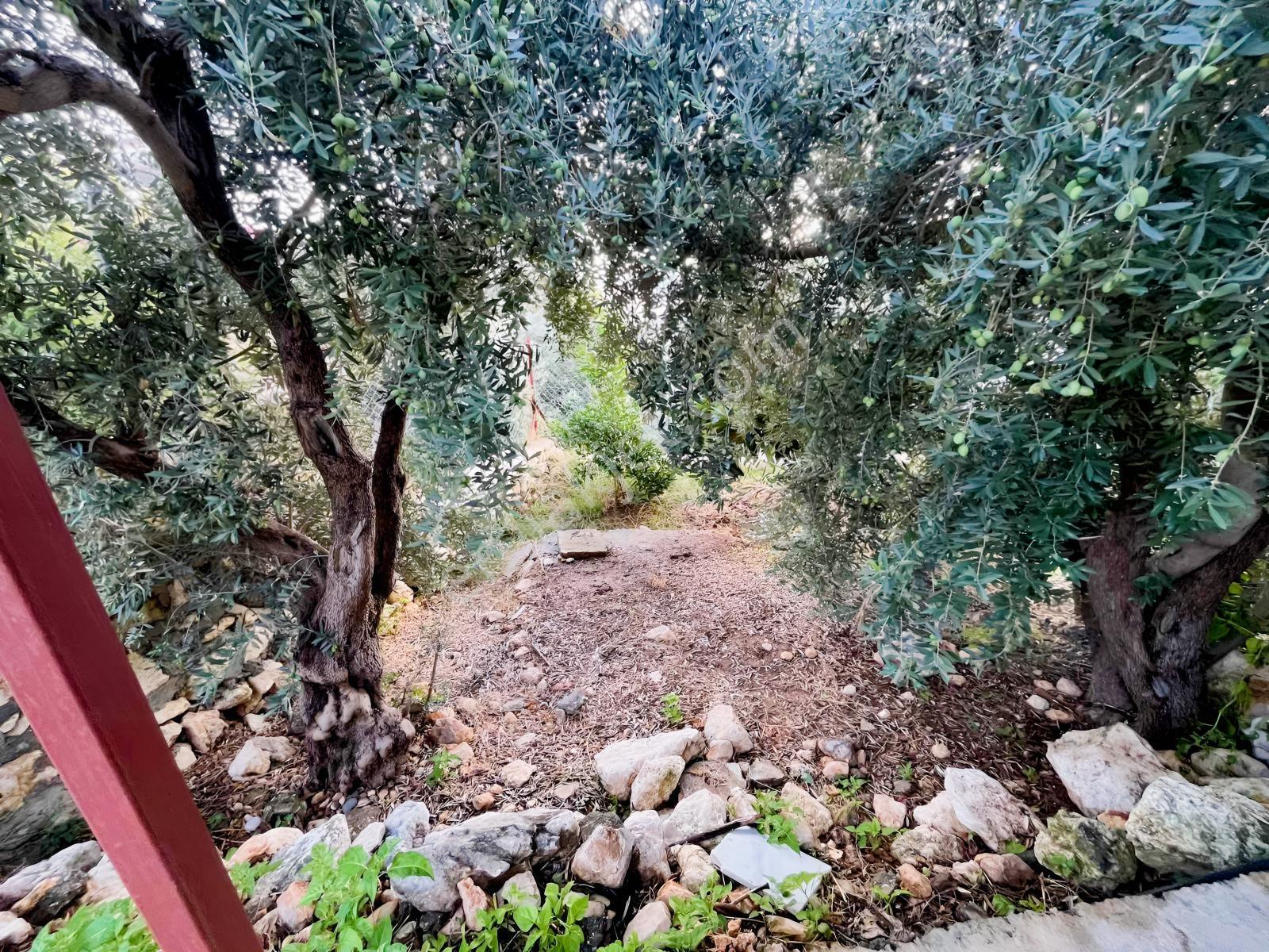 Lemas'ta 387m2 Arsa İçerisinde Müstakil 2 Katlı Ev — fotoğraf 27