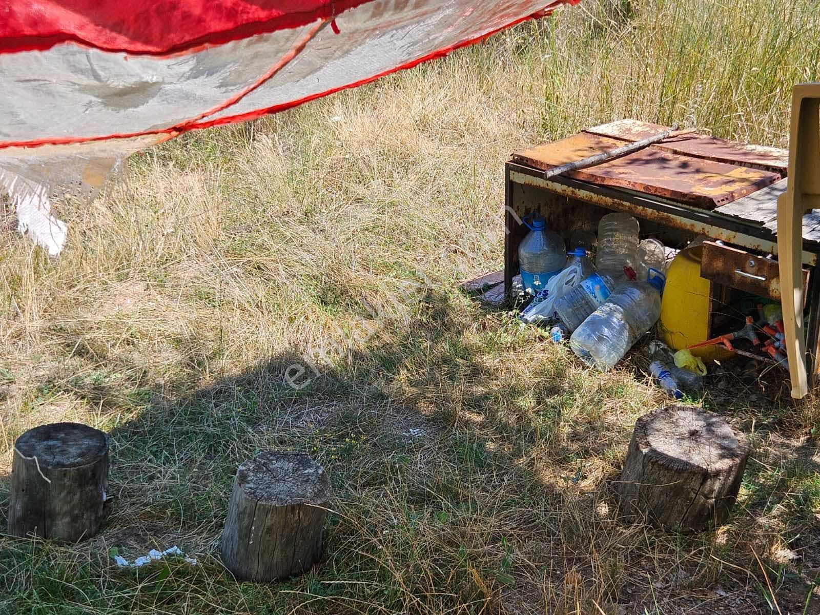 Eskişehir Elma Ve Ceviz Çiftliği 35.000m2 Toplam — fotoğraf 6