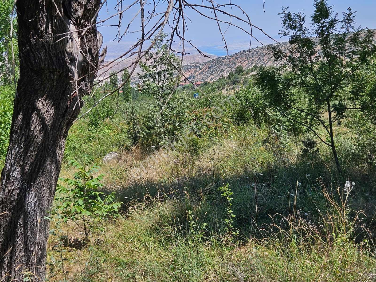 Eskişehir Elma Ve Ceviz Çiftliği 35.000m2 Toplam — fotoğraf 7