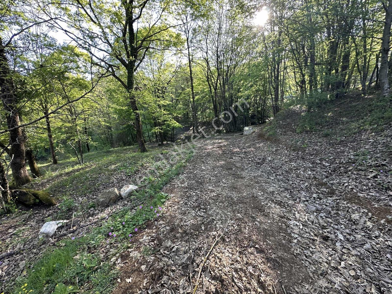 Turyap Soner'den Satılık, Güneyköy'de 1163 M² İmarlı Fırsat Arsa — fotoğraf 12