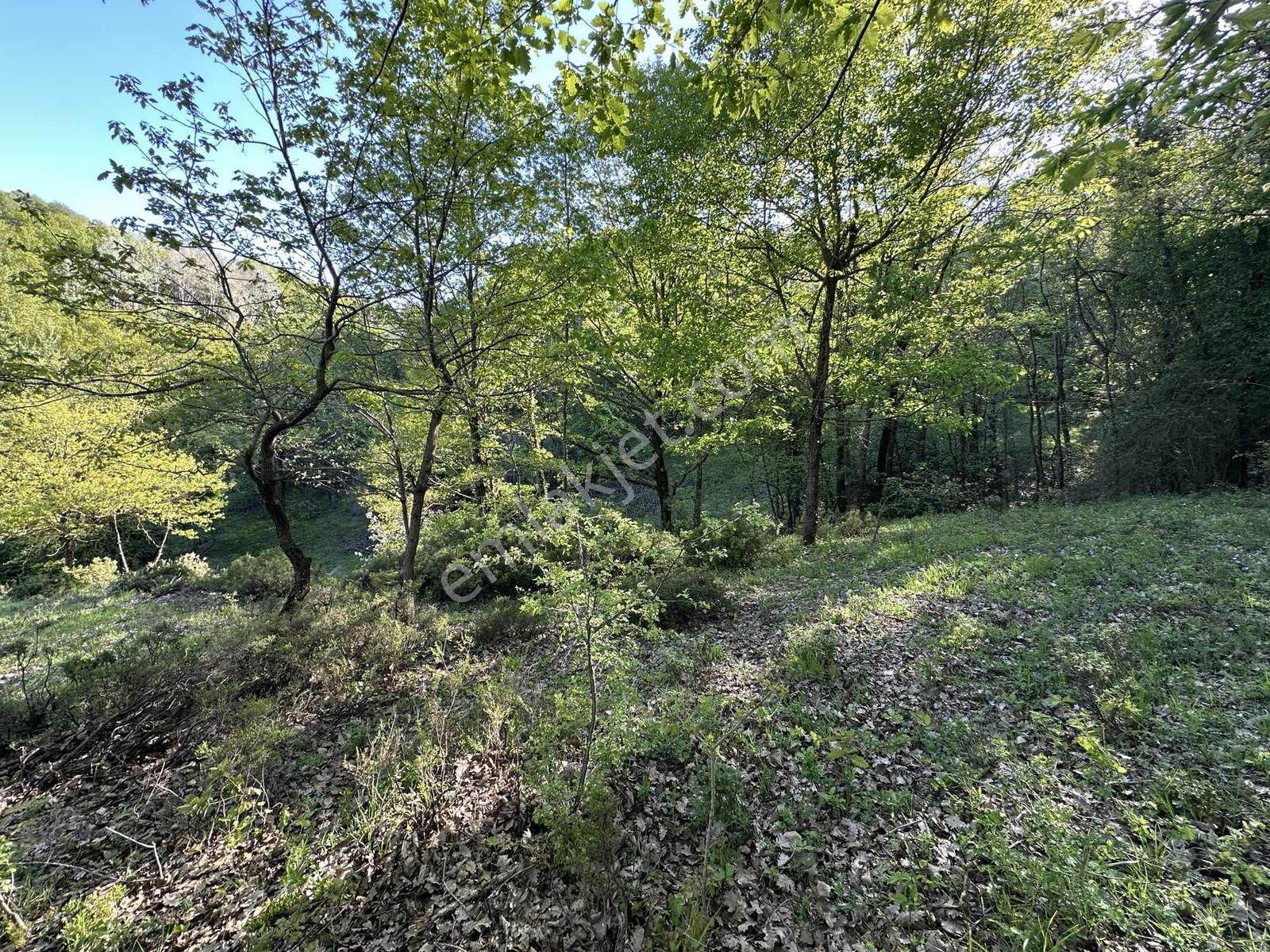 Turyap Soner'den Satılık, Güneyköy'de 1163 M² İmarlı Fırsat Arsa — fotoğraf 17