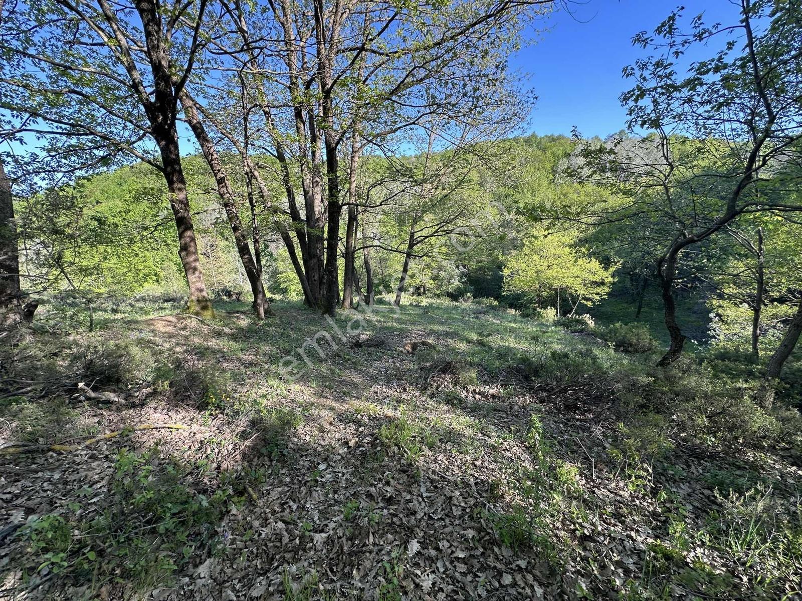 Turyap Soner'den Satılık, Güneyköy'de 1163 M² İmarlı Fırsat Arsa — fotoğraf 18