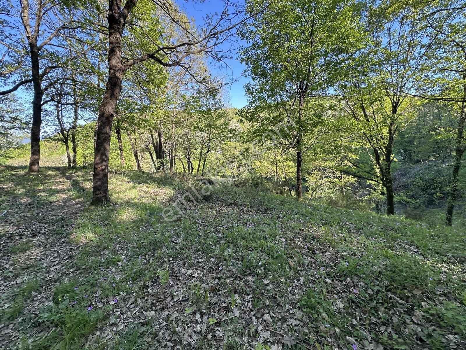 Turyap Soner'den Satılık, Güneyköy'de 1163 M² İmarlı Fırsat Arsa — fotoğraf 19
