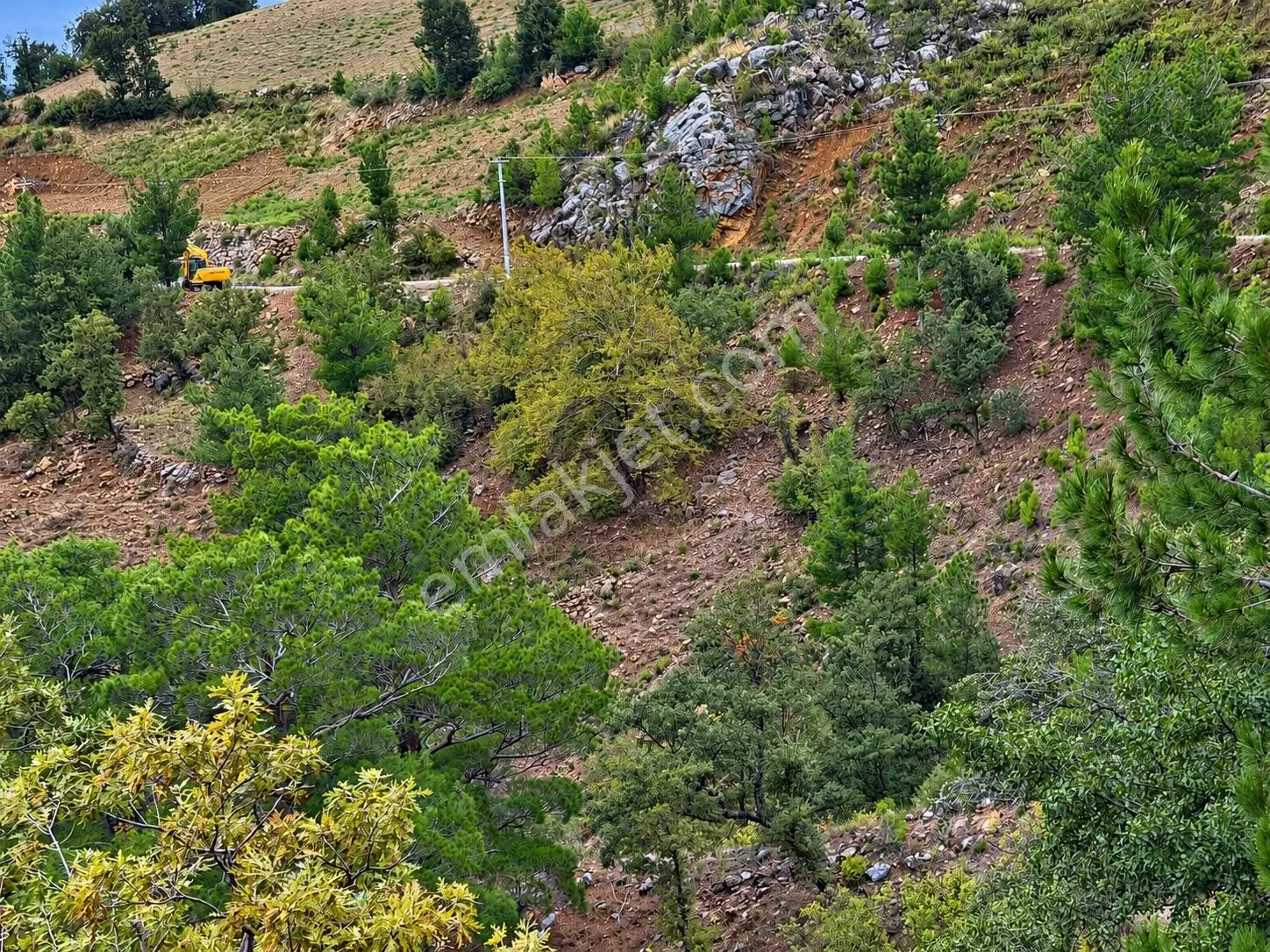 Yeniköy Mahallesi Avokado Ekimine Uygun 12.700M2 Tarla