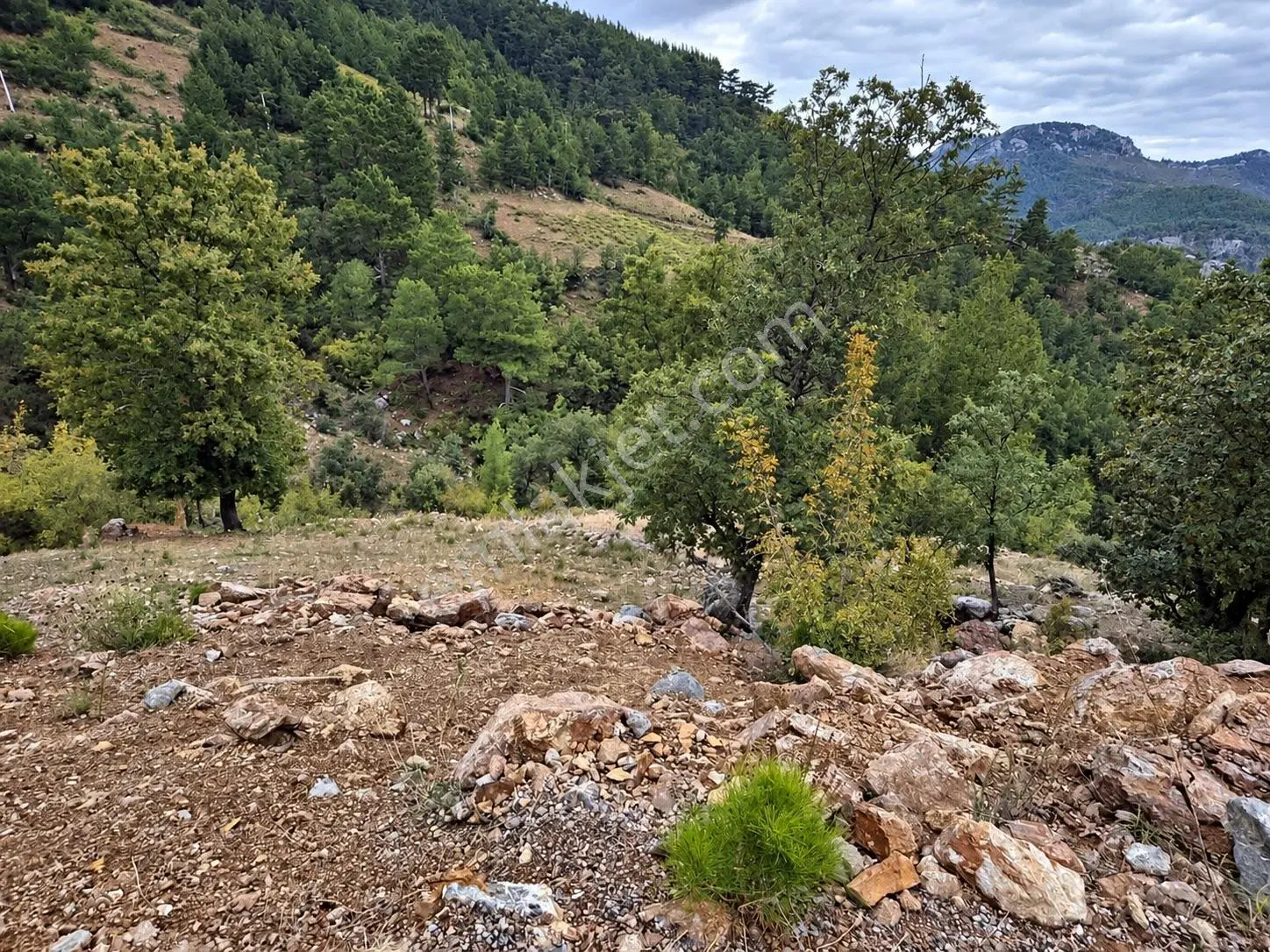 Yeniköy Mahallesi Avokado Ekimine Uygun 12.700m2 Tarla — fotoğraf 3