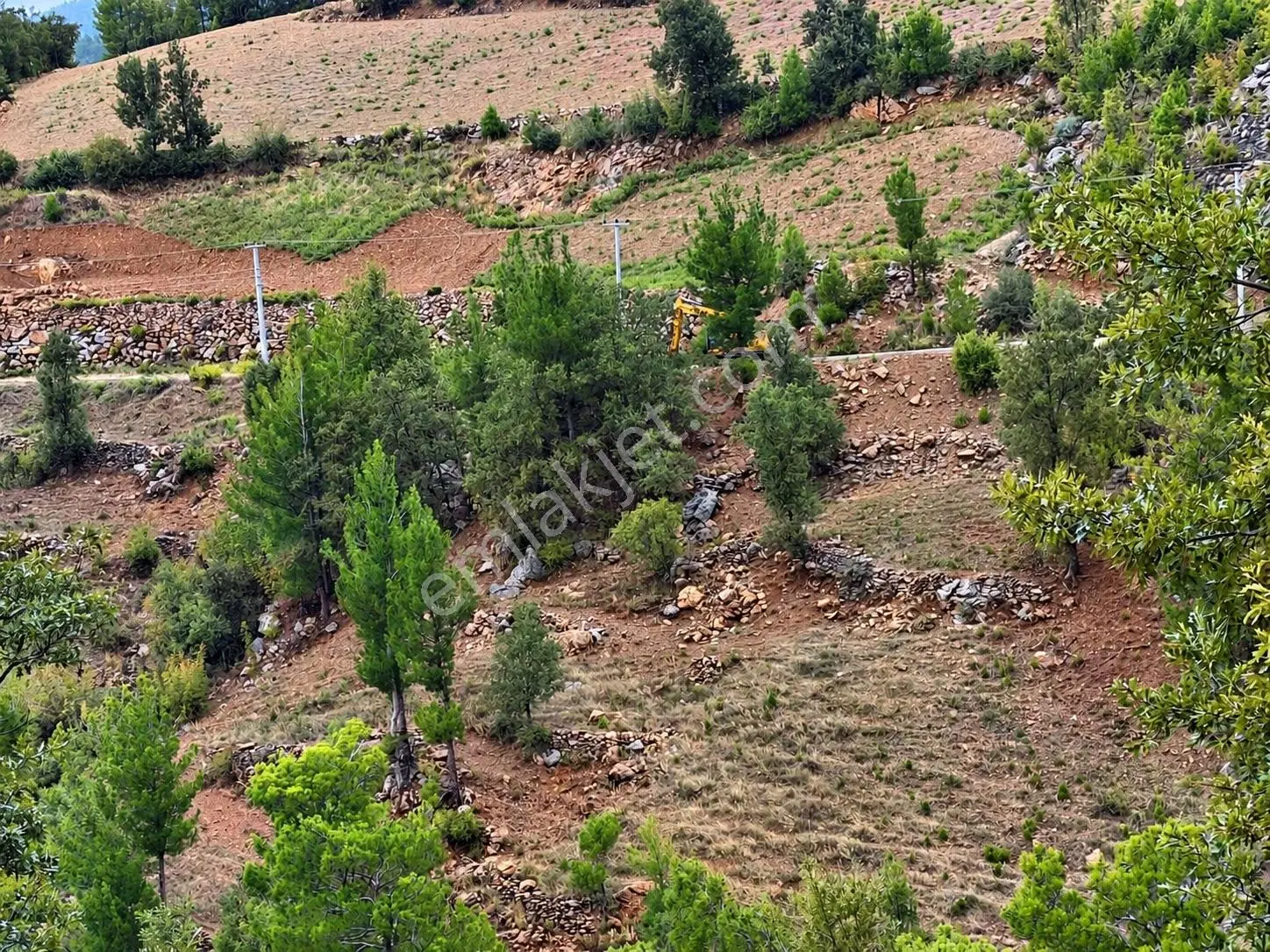 Yeniköy Mahallesi Avokado Ekimine Uygun 12.700m2 Tarla — fotoğraf 4