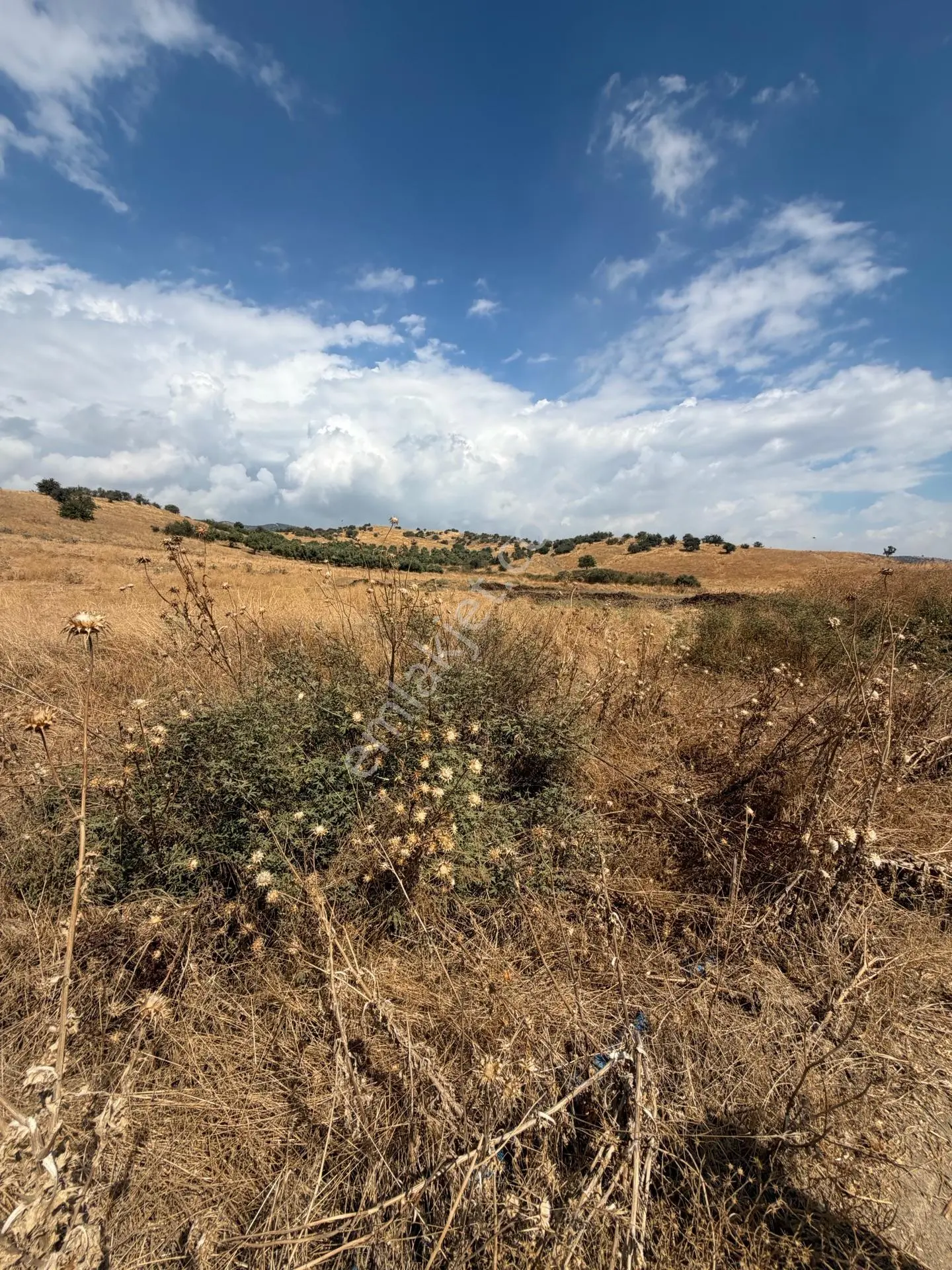 Tire Doyranlı'da Satılık 3276 M² Doğa Manzaralı Tarla — fotoğraf 2
