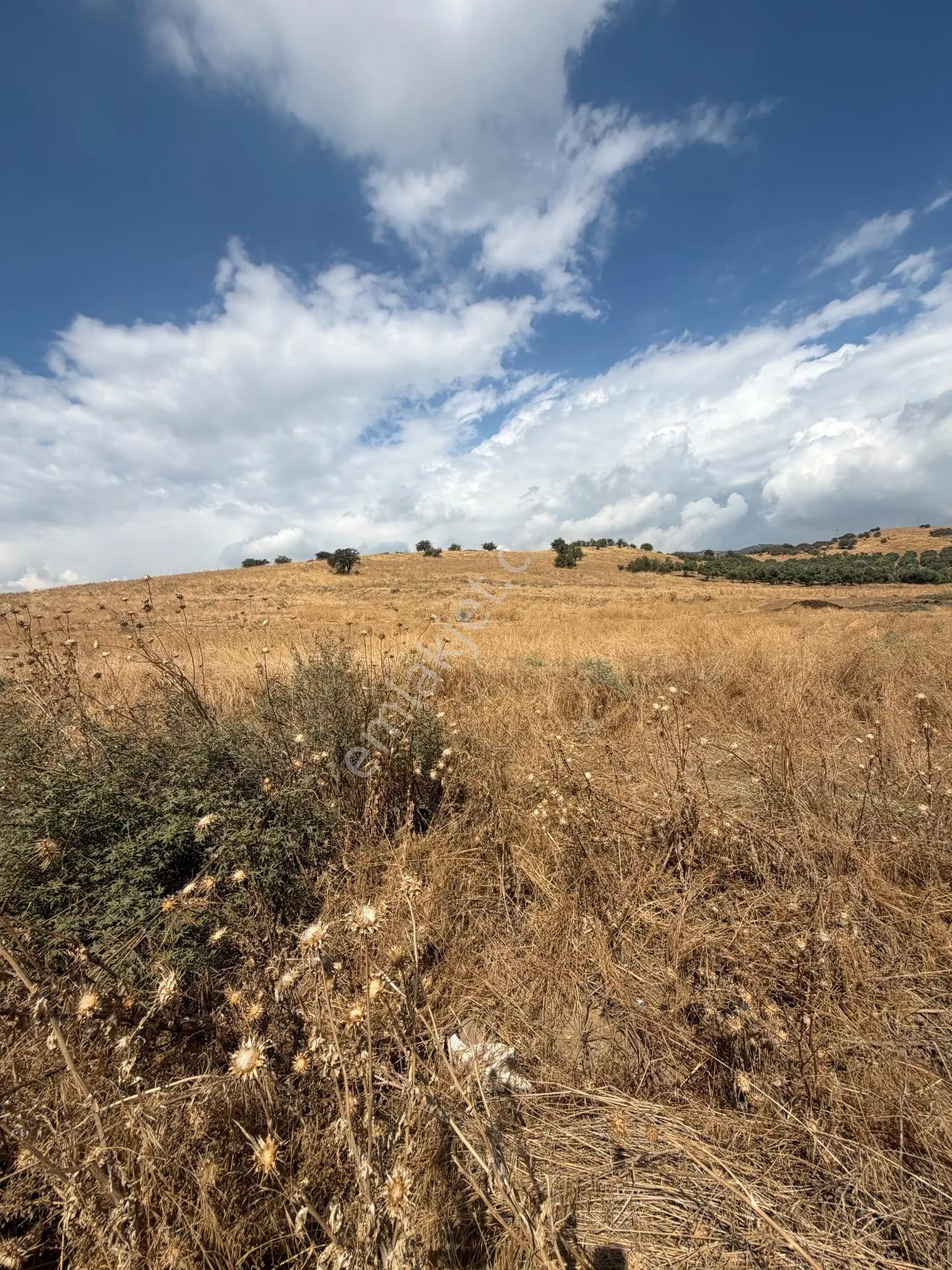 Tire Doyranlı'da Satılık 3276 M² Doğa Manzaralı Tarla — fotoğraf 7