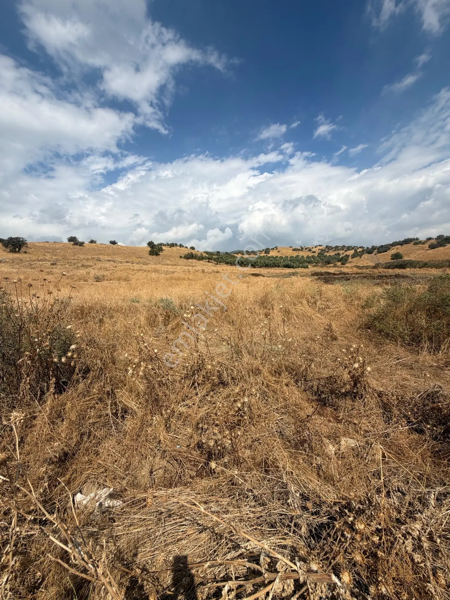 Tire Doyranlı'da Satılık 3276 M² Doğa Manzaralı Tarla — fotoğraf 9