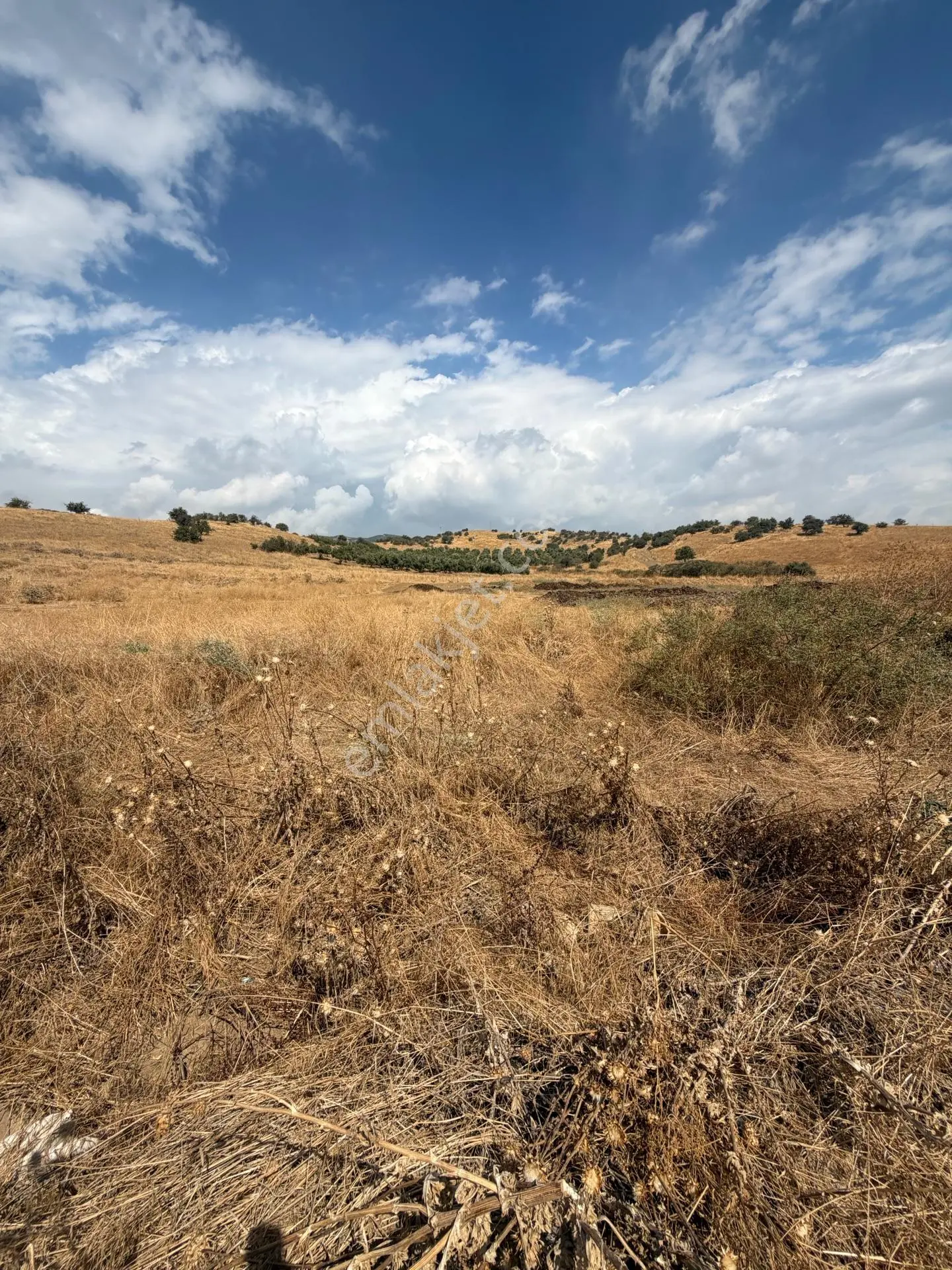 Tire Doyranlı'da Satılık 3276 M² Doğa Manzaralı Tarla — fotoğraf 10
