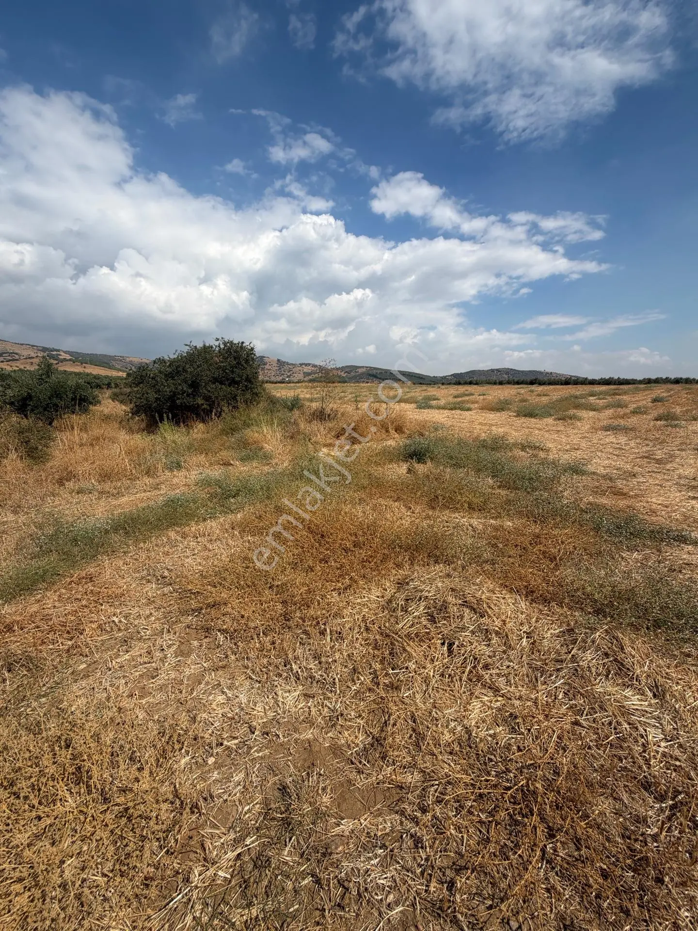Tire Doyranlı'da Satılık 3276 M² Doğa Manzaralı Tarla — fotoğraf 14