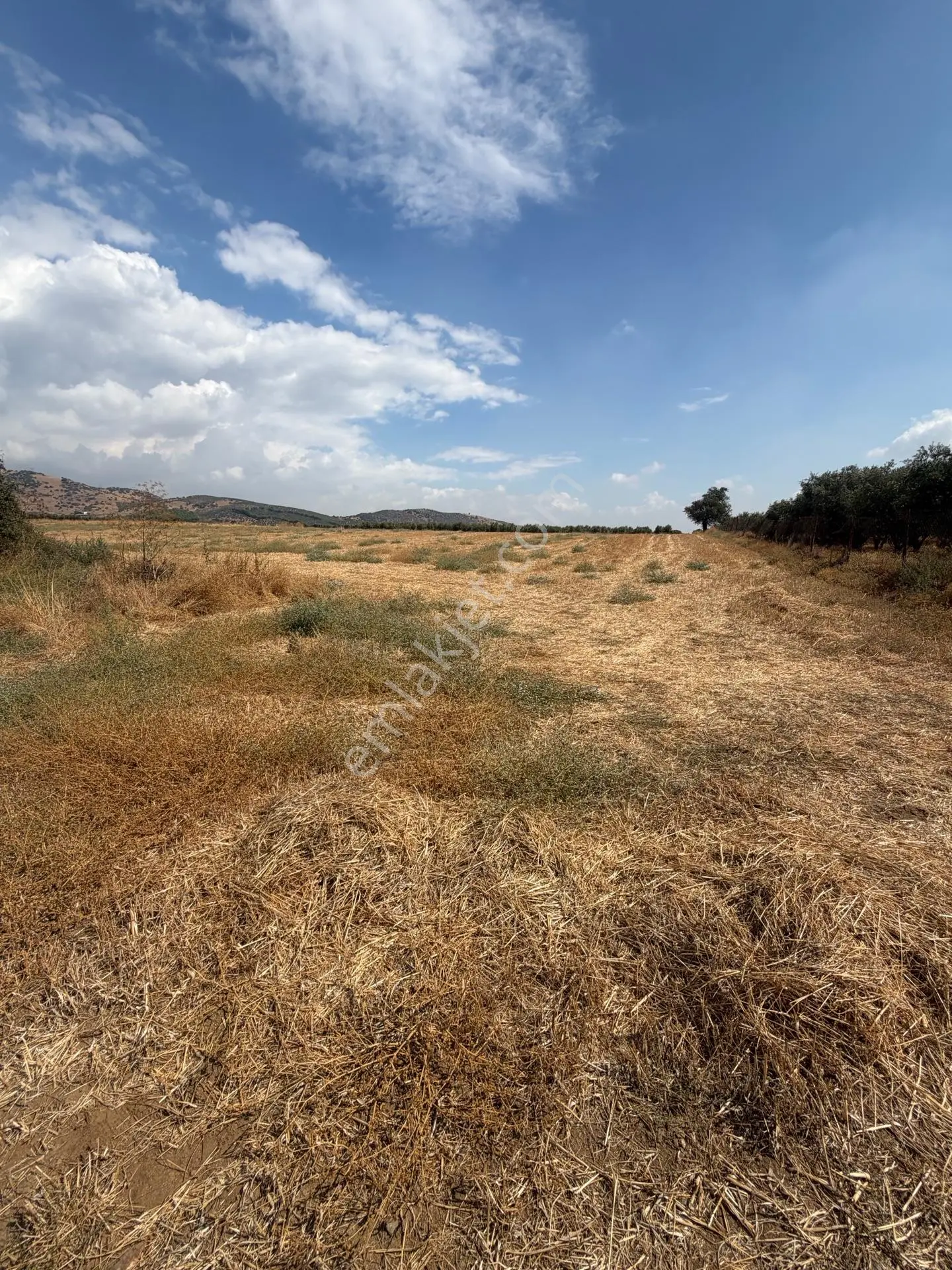 Tire Doyranlı'da Satılık 3276 M² Doğa Manzaralı Tarla — fotoğraf 15