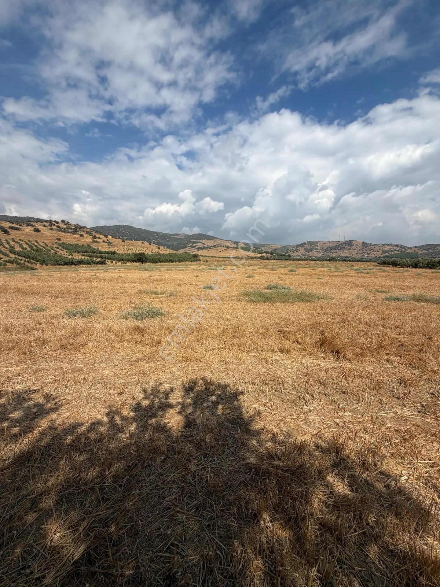 Tire Doyranlı'da Satılık 3276 M² Doğa Manzaralı Tarla — fotoğraf 17