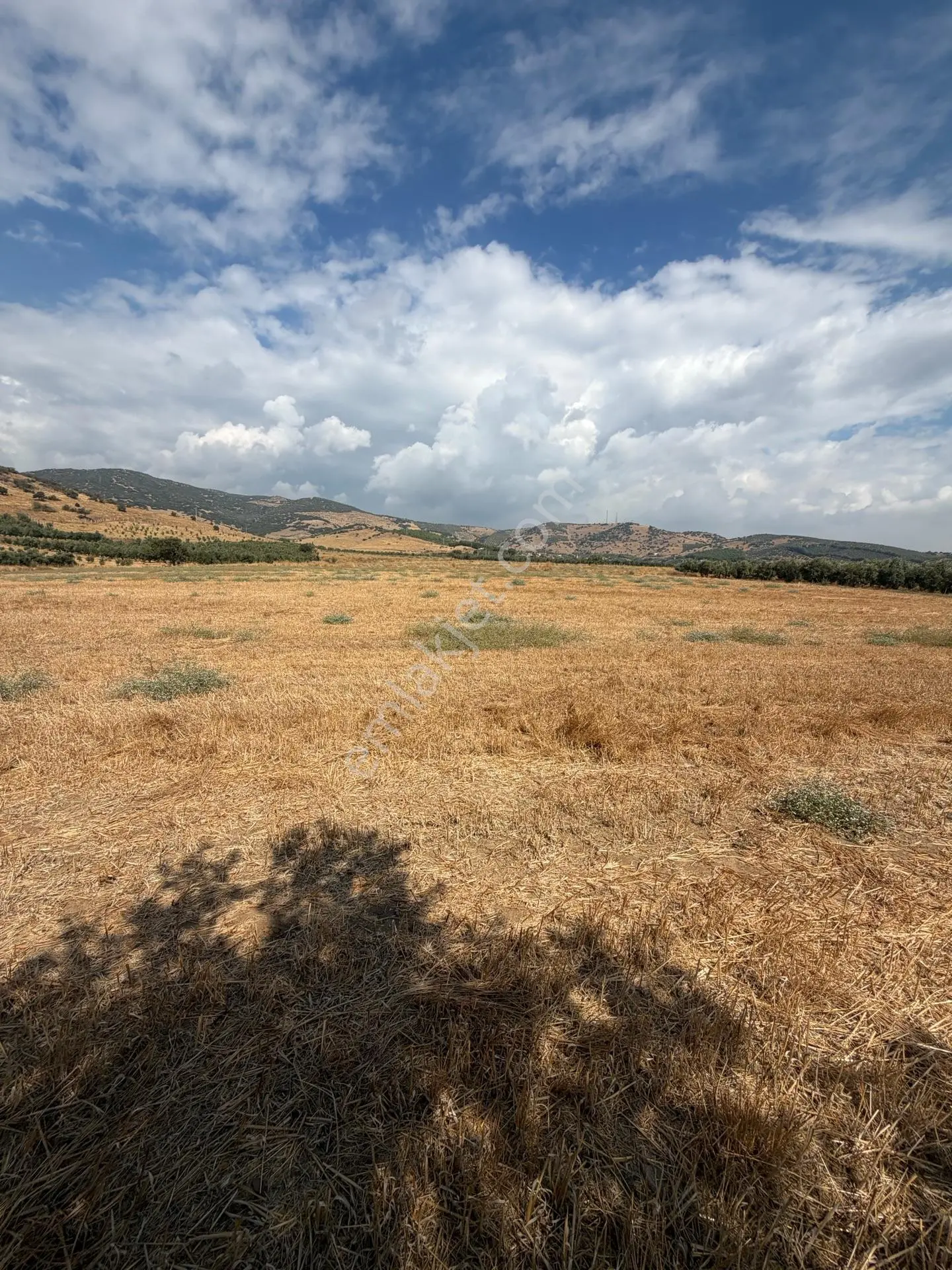 Tire Doyranlı'da Satılık 3276 M² Doğa Manzaralı Tarla — fotoğraf 18