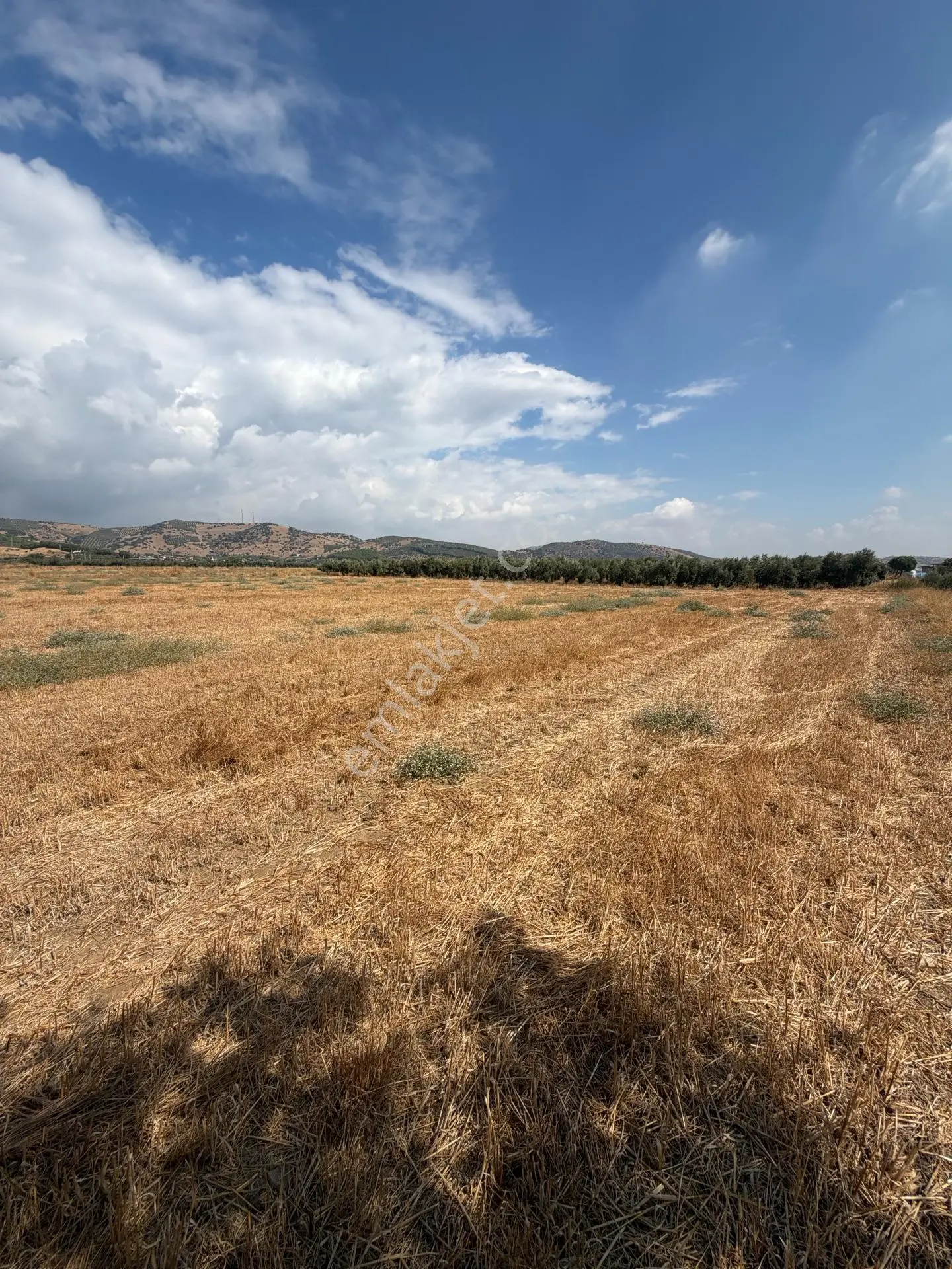 Tire Doyranlı'da Satılık 3276 M² Doğa Manzaralı Tarla — fotoğraf 20