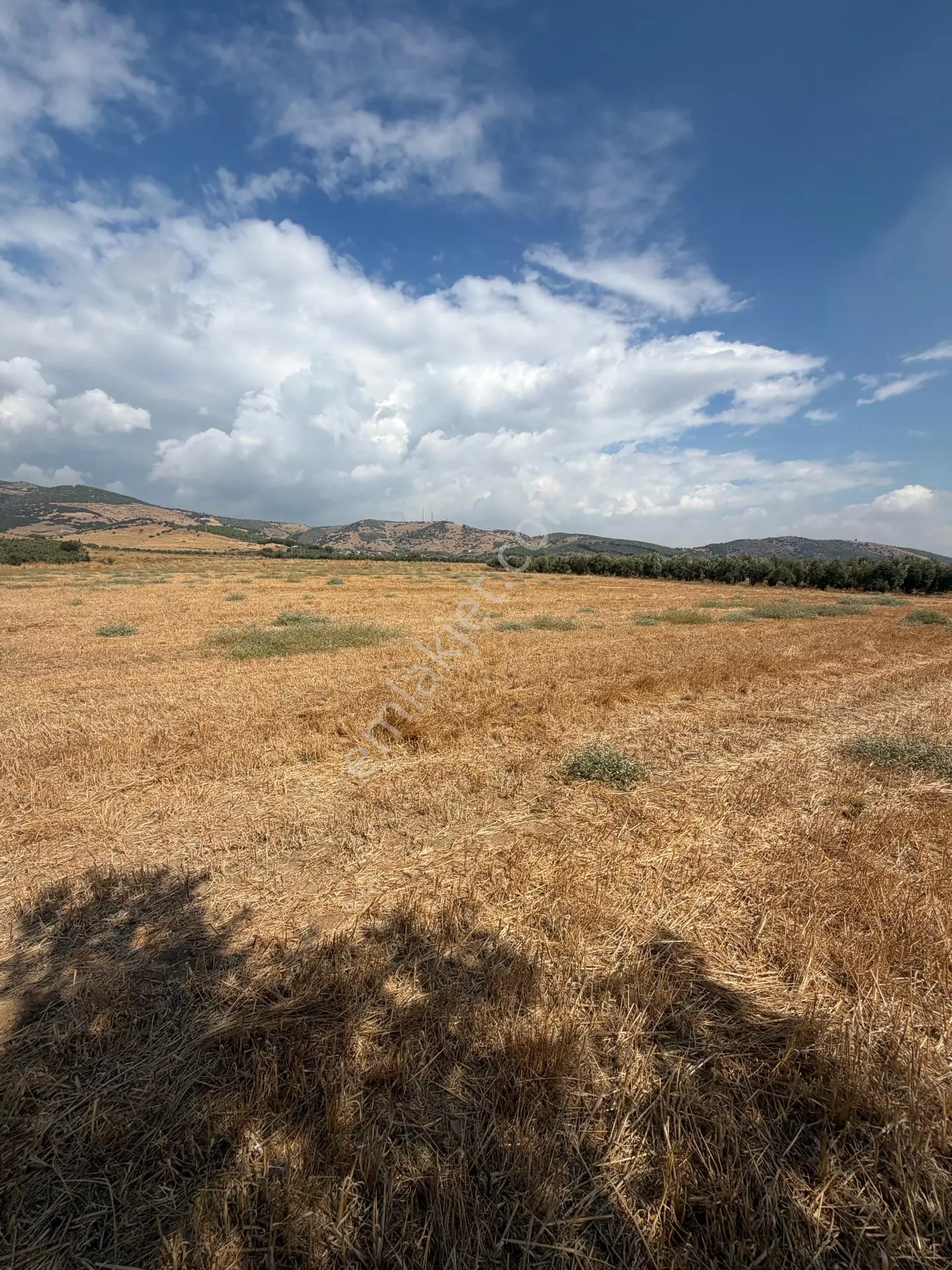 Tire Doyranlı'da Satılık 3276 M² Doğa Manzaralı Tarla — fotoğraf 21