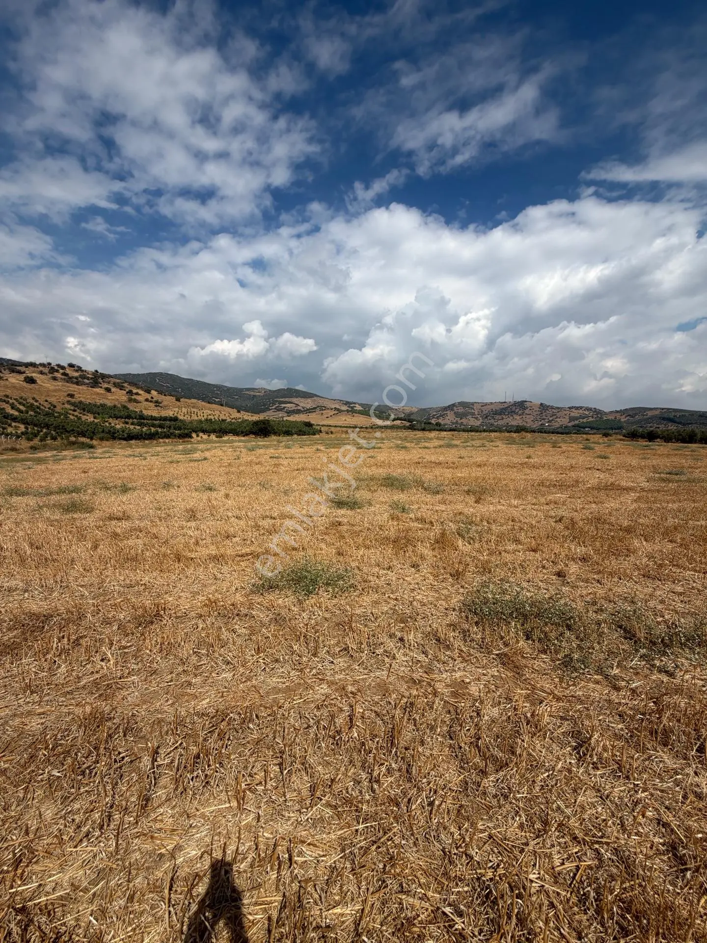 Tire Doyranlı'da Satılık 3276 M² Doğa Manzaralı Tarla — fotoğraf 22