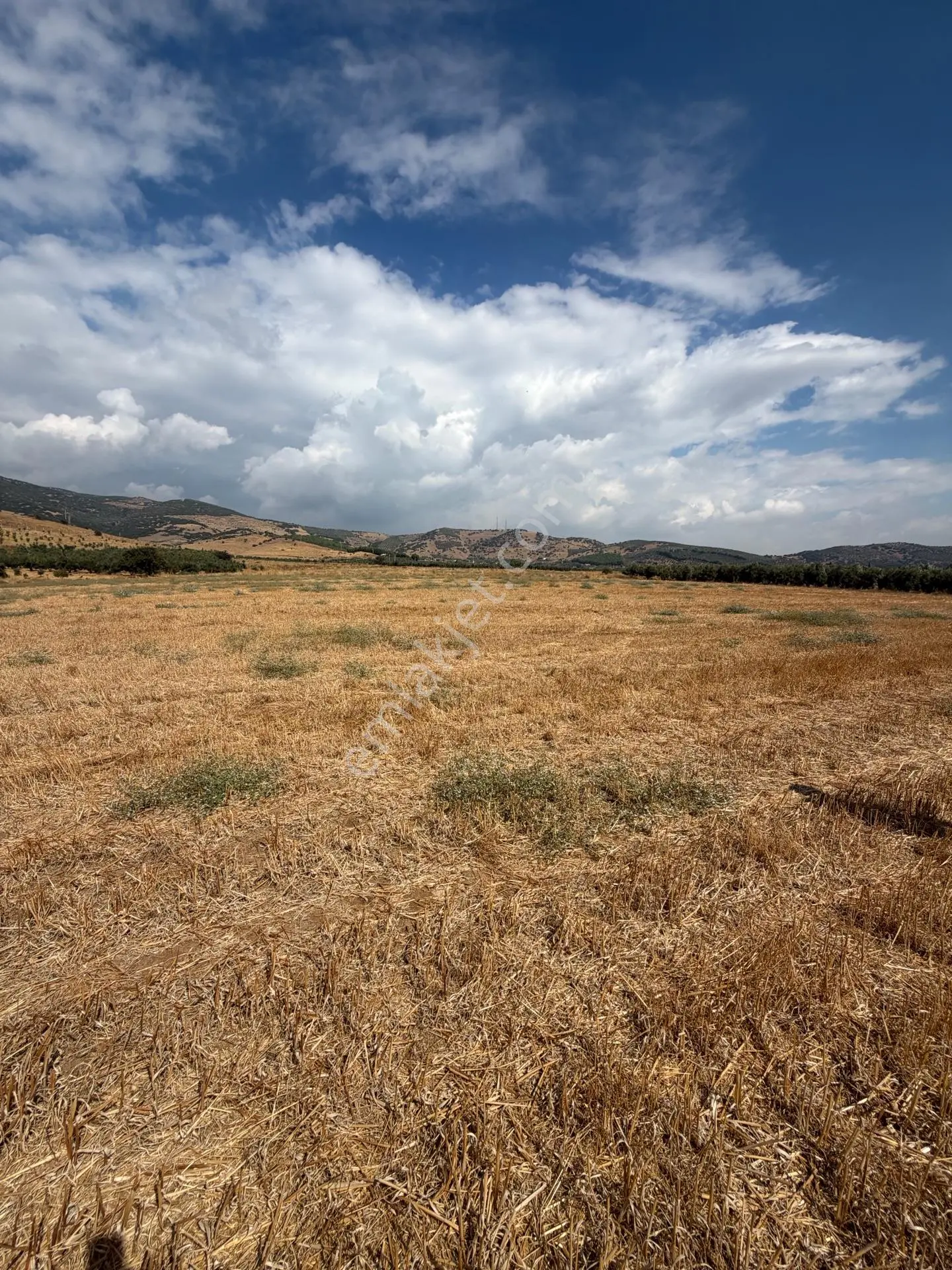 Tire Doyranlı'da Satılık 3276 M² Doğa Manzaralı Tarla — fotoğraf 23