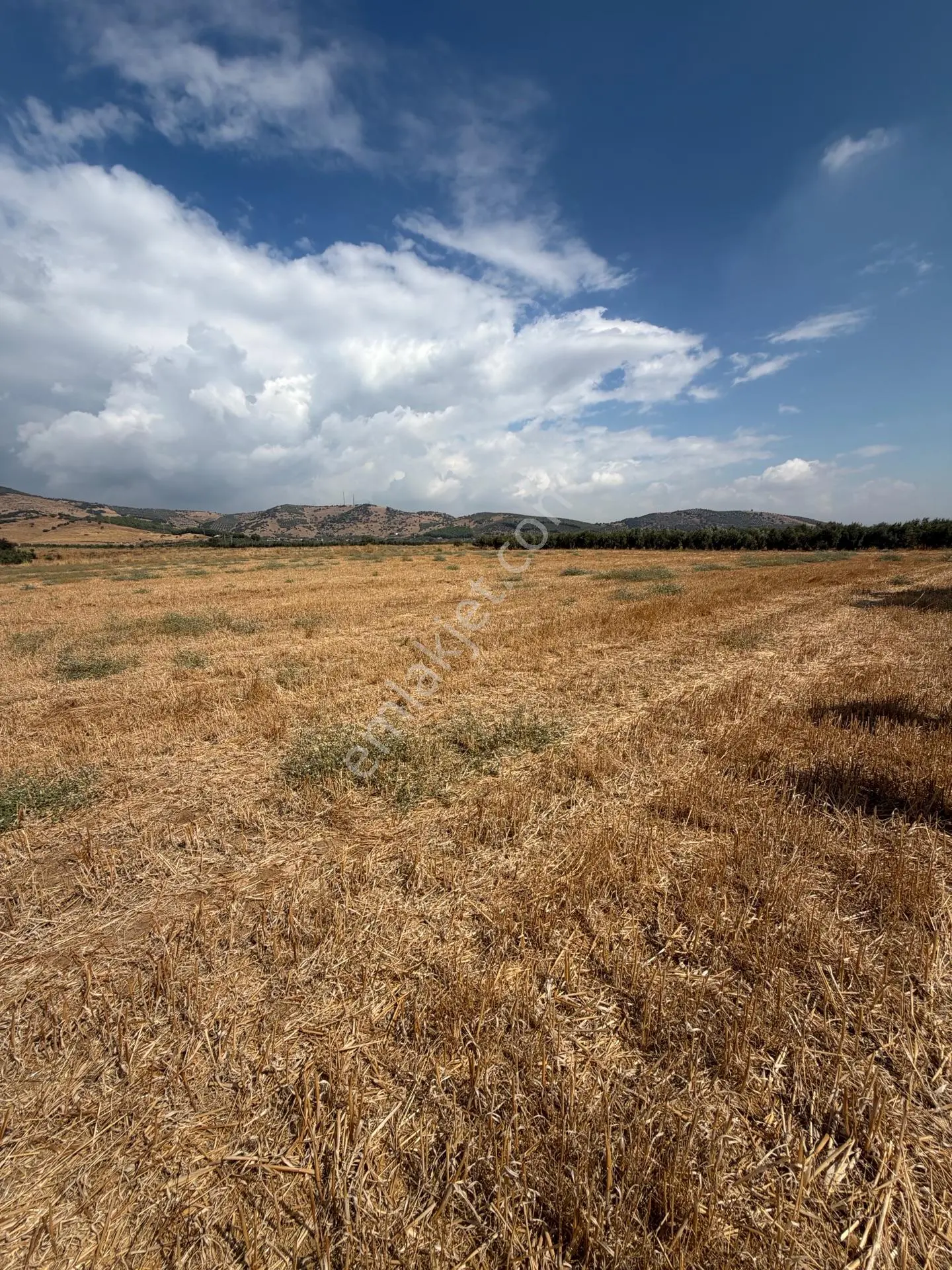 Tire Doyranlı'da Satılık 3276 M² Doğa Manzaralı Tarla — fotoğraf 24