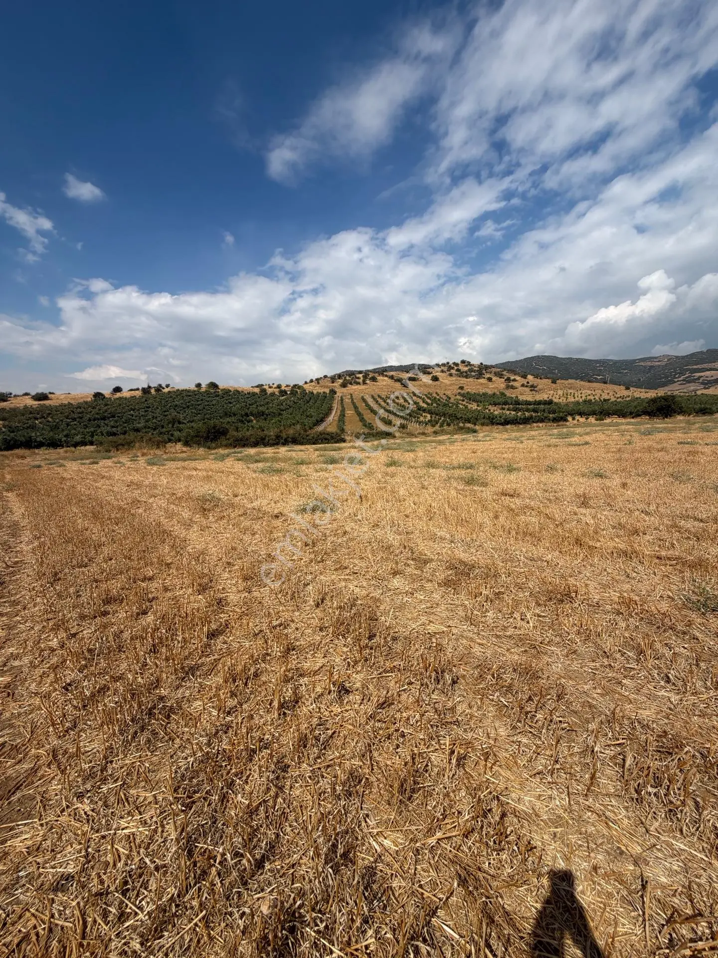 Tire Doyranlı'da Satılık 3276 M² Doğa Manzaralı Tarla — fotoğraf 25
