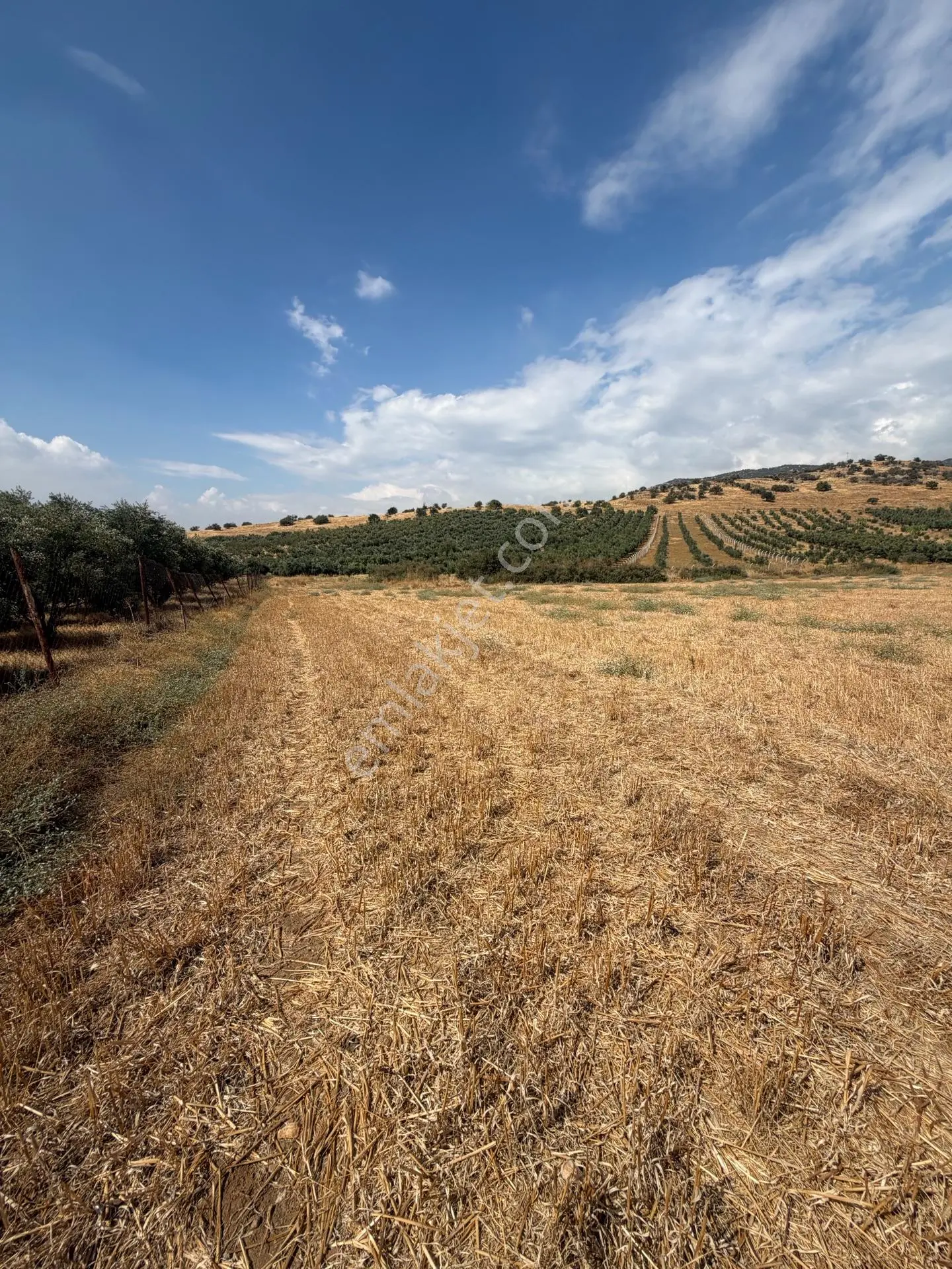 Tire Doyranlı'da Satılık 3276 M² Doğa Manzaralı Tarla — fotoğraf 28