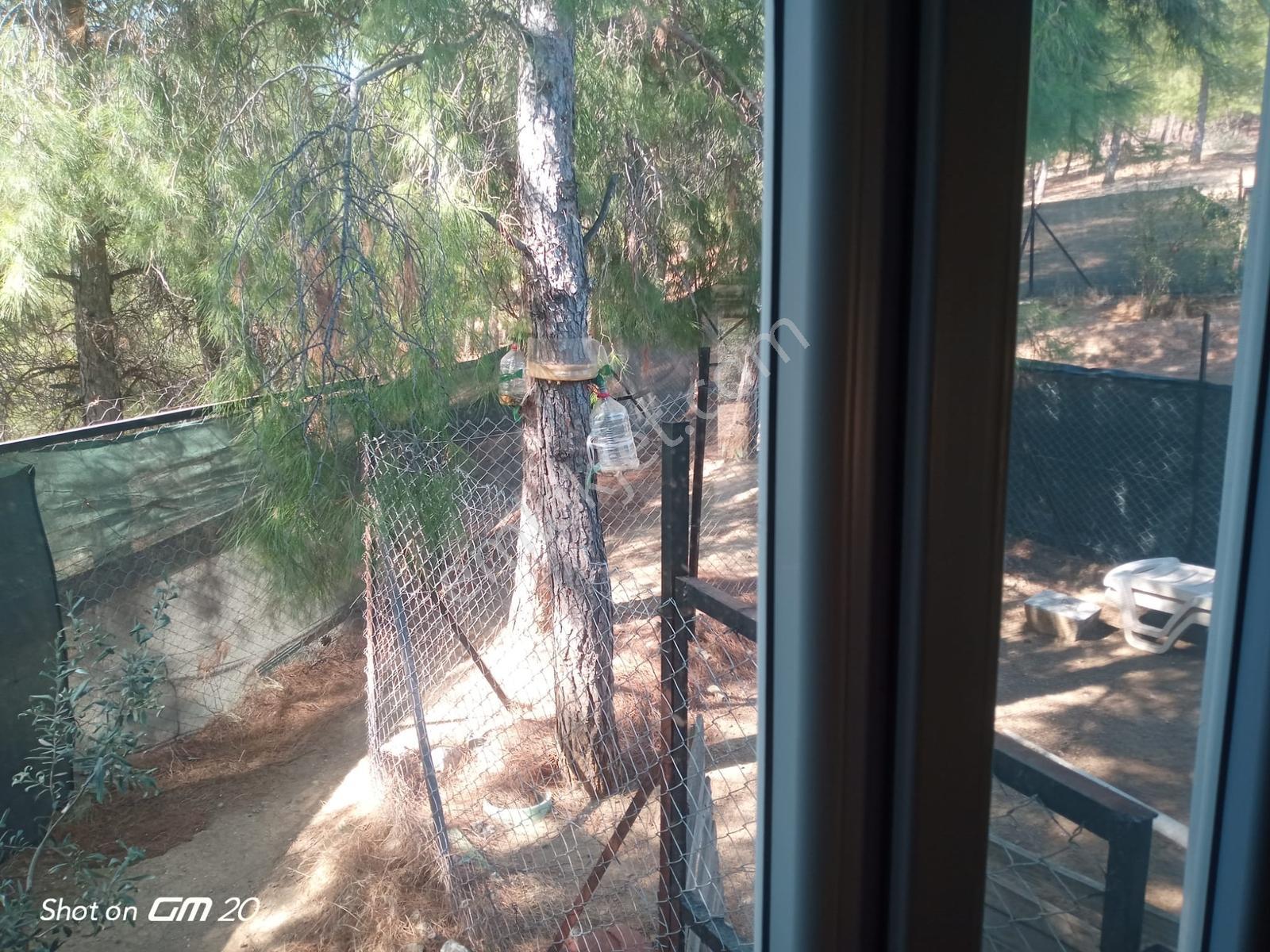 Çobanlar Mh 1865 M2 İçinde 2 Adet Müstakil Ev — fotoğraf 16