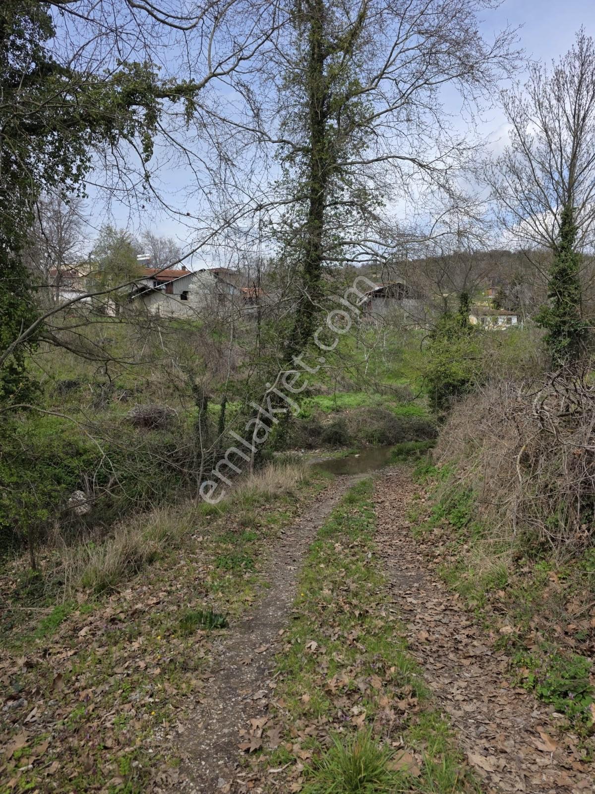 İnegöl Yiğit Köyde Satılık Arsa 574 Metre — fotoğraf 4
